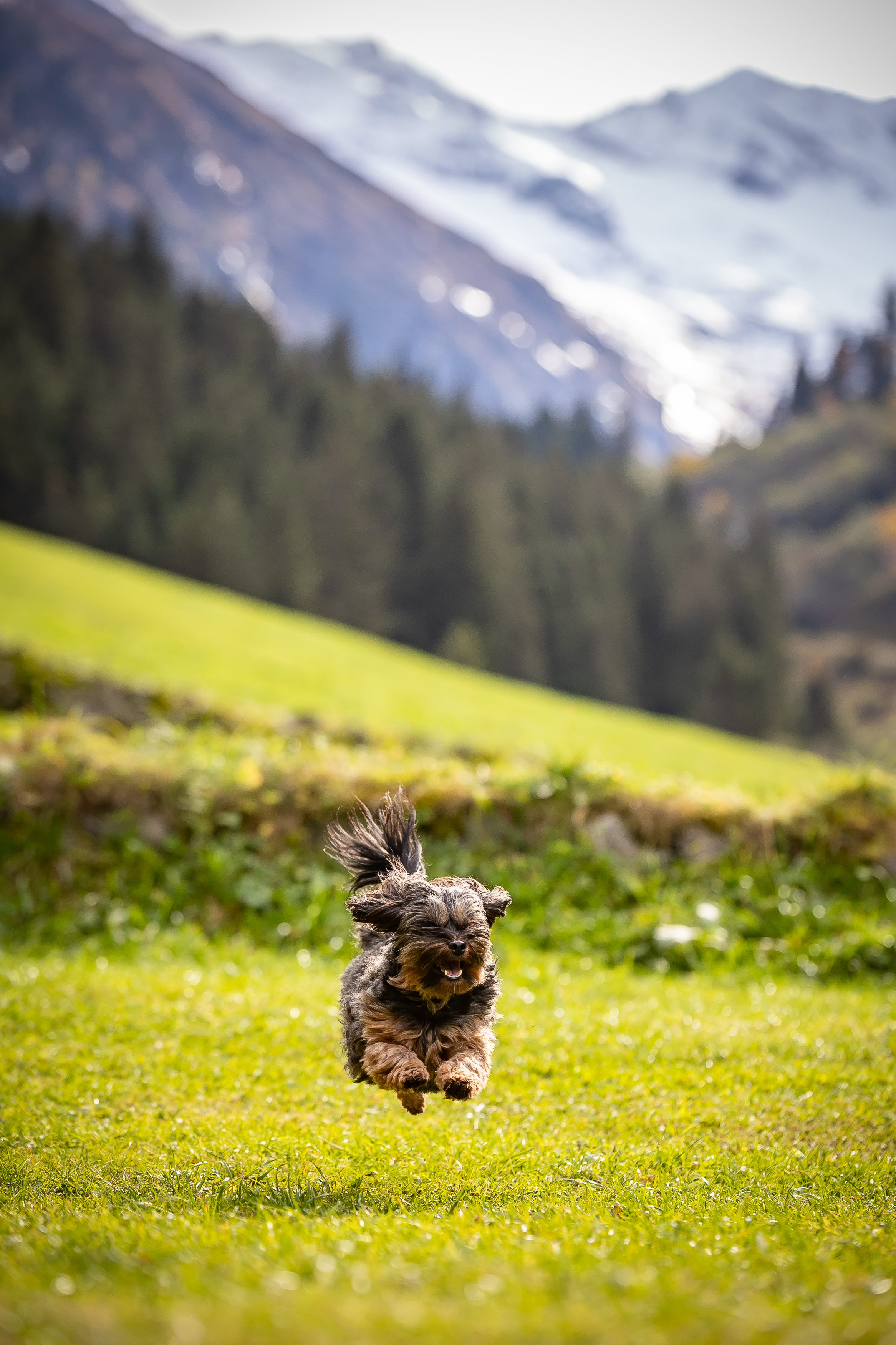 leisurely hike