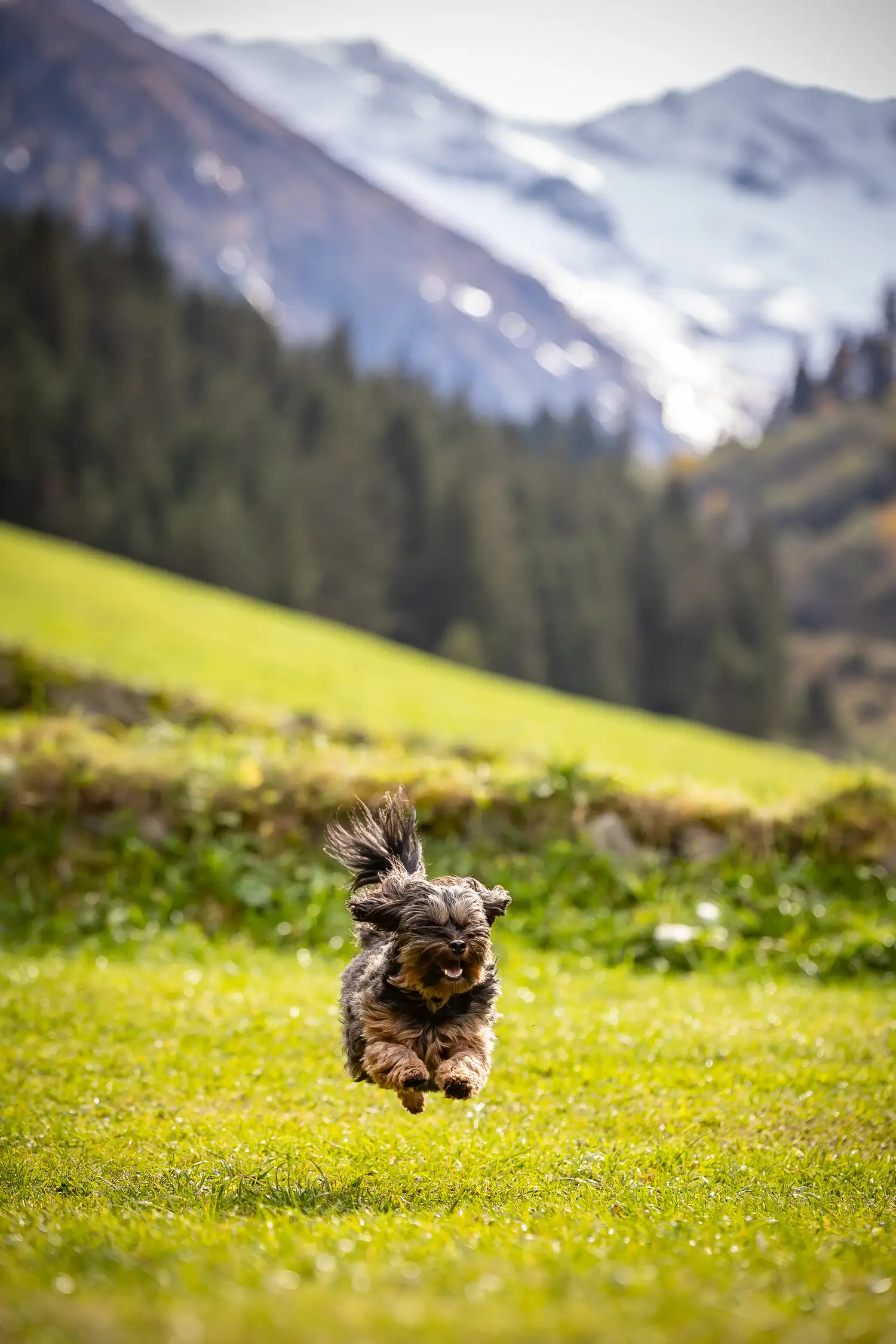 gemütliche Wanderung