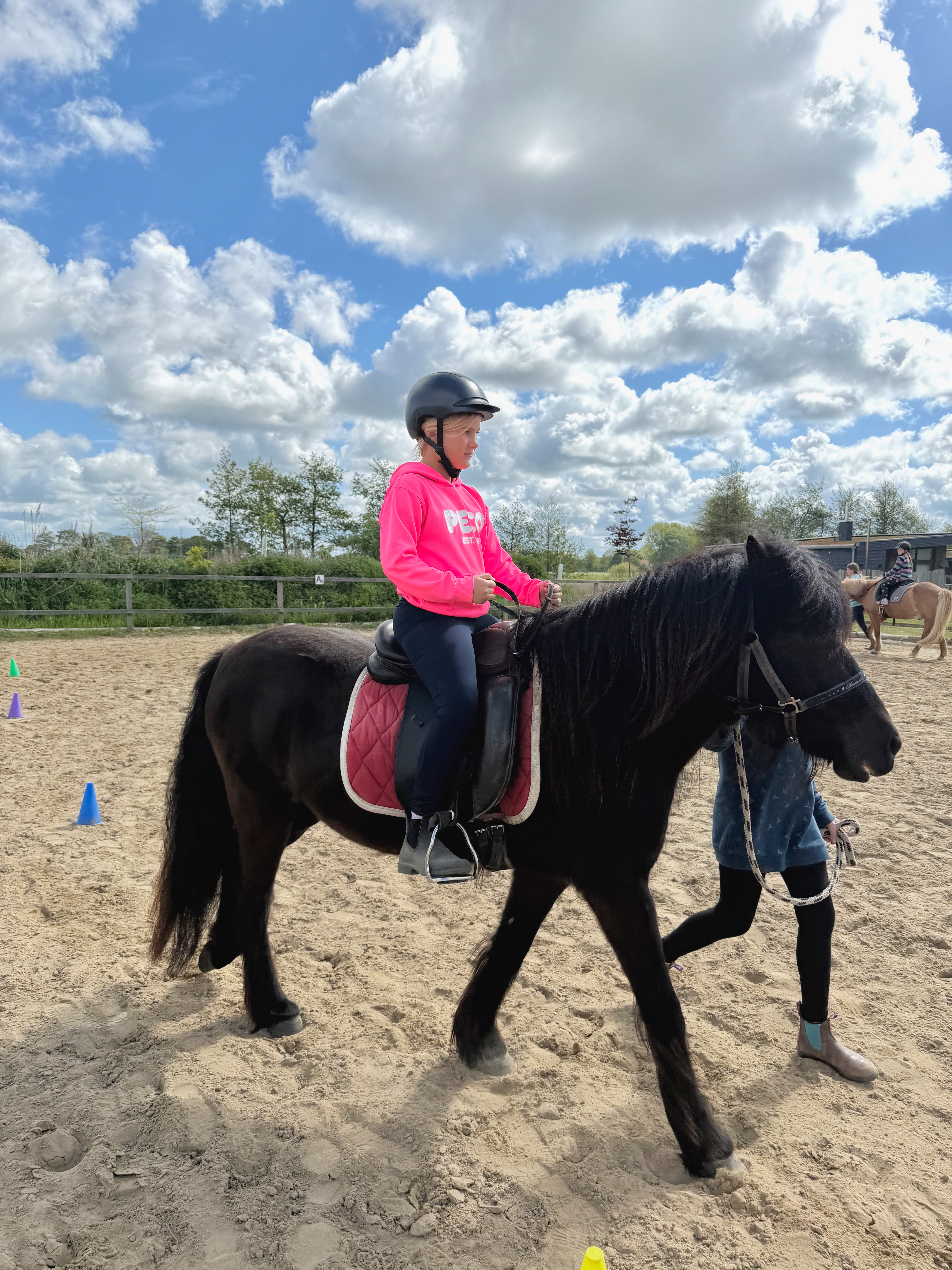 Play & riding lessons in the riding arena