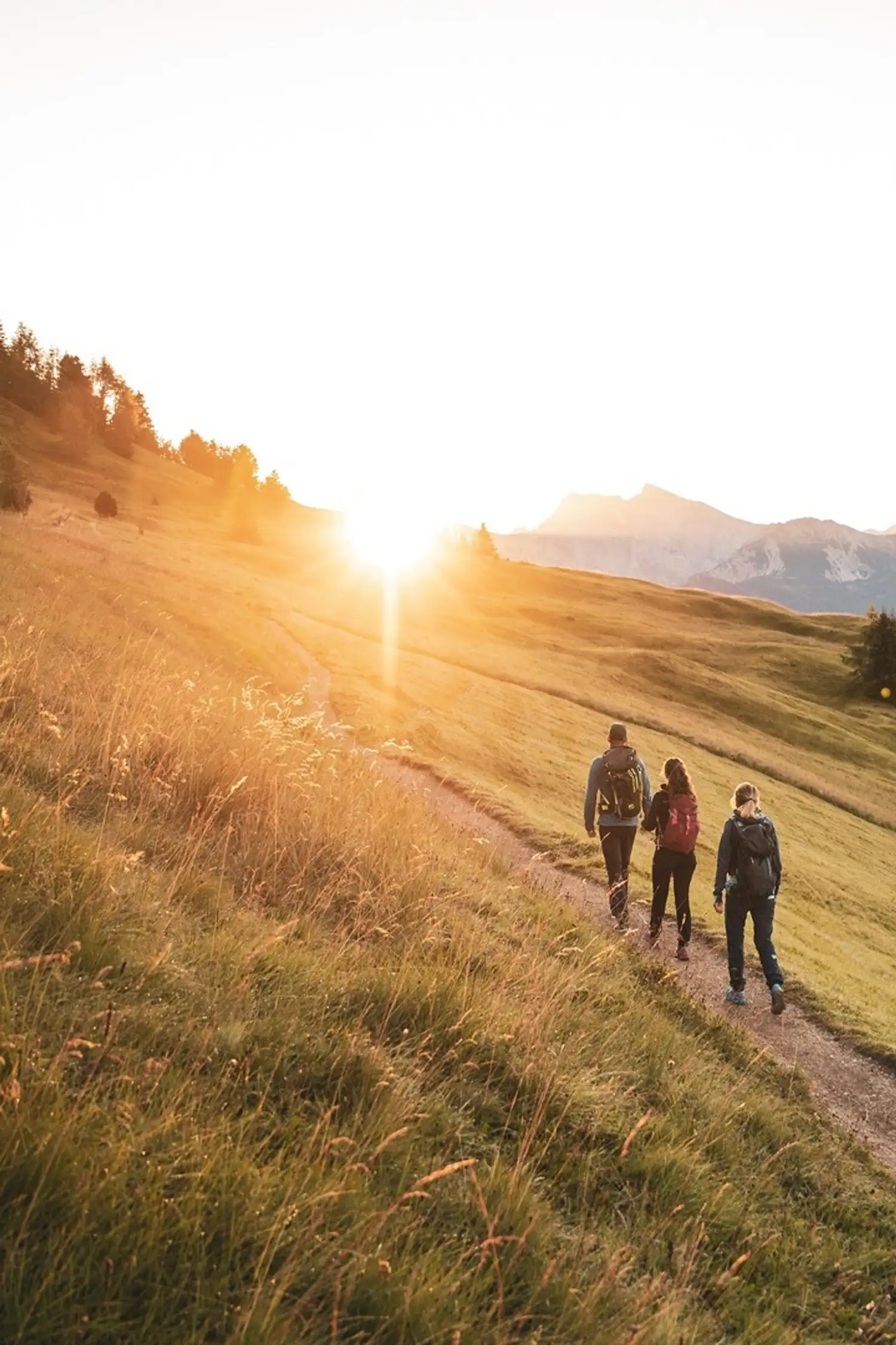 Sommerwanderung Vi – Göma