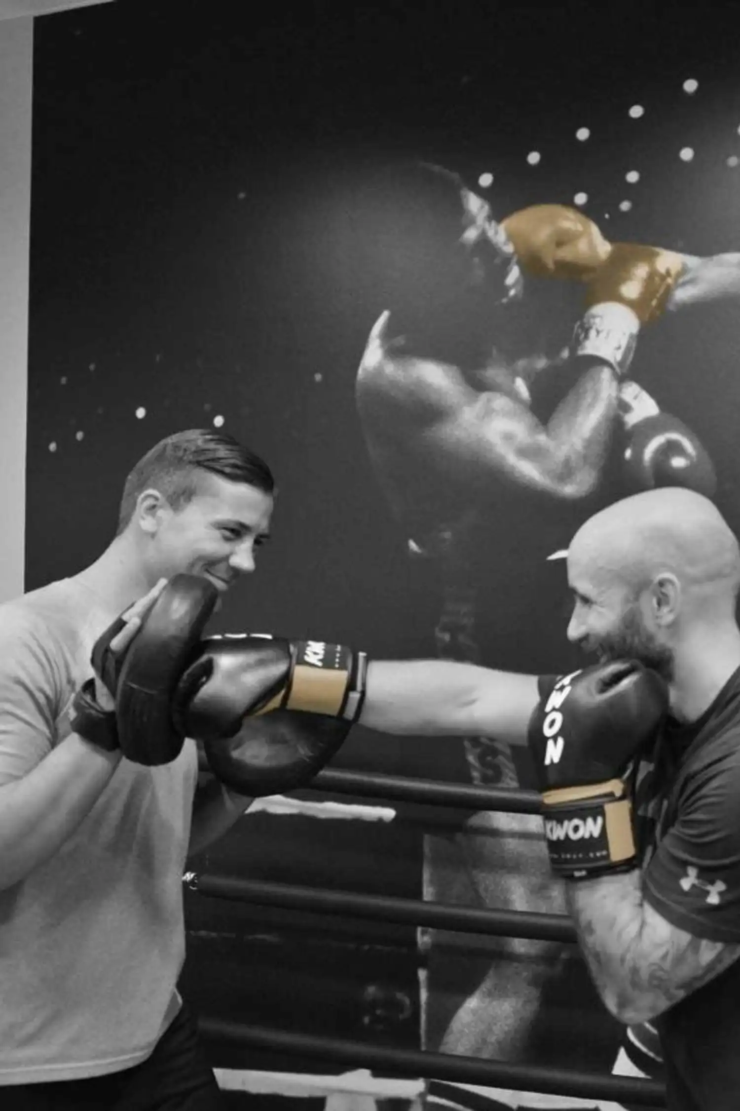 Boxfit