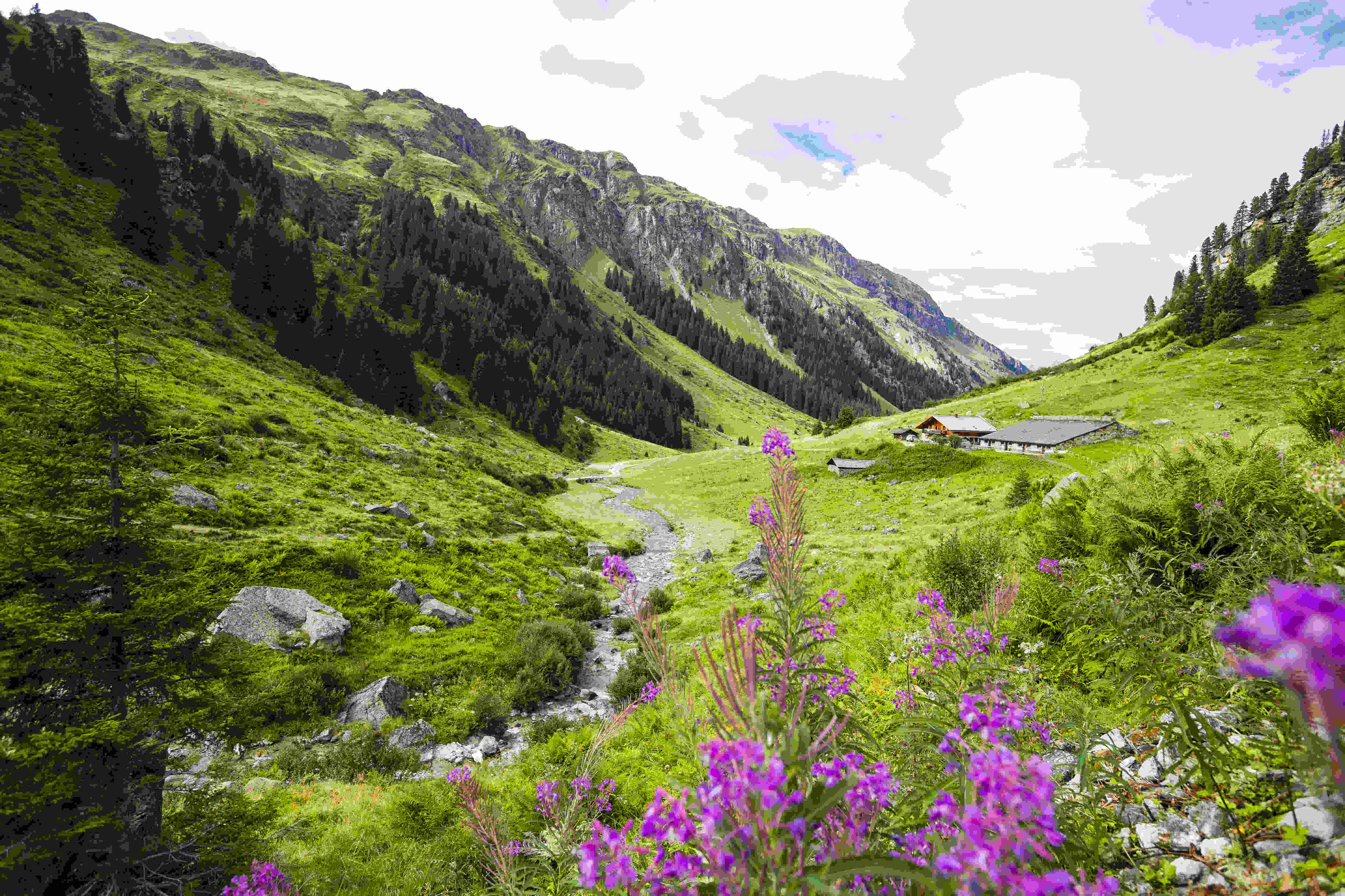Wanderwoche