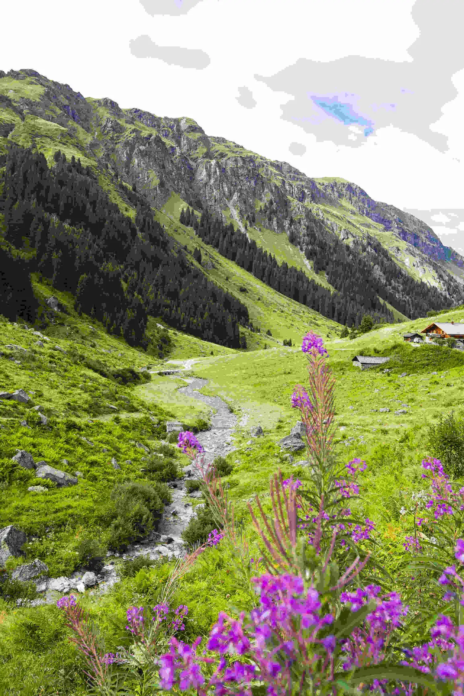 Hiking week