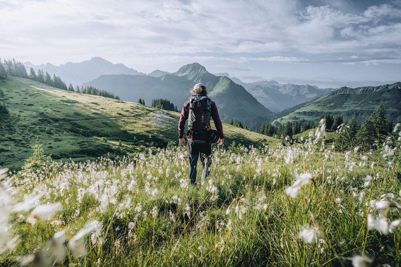 Unterwegs auf dem Blumen-Wanderlehrpfad mit Wanderführer Günter Bischof