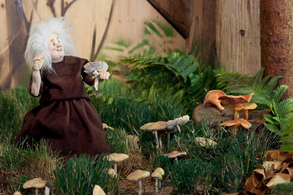 Pilz- und Puppenmuseum