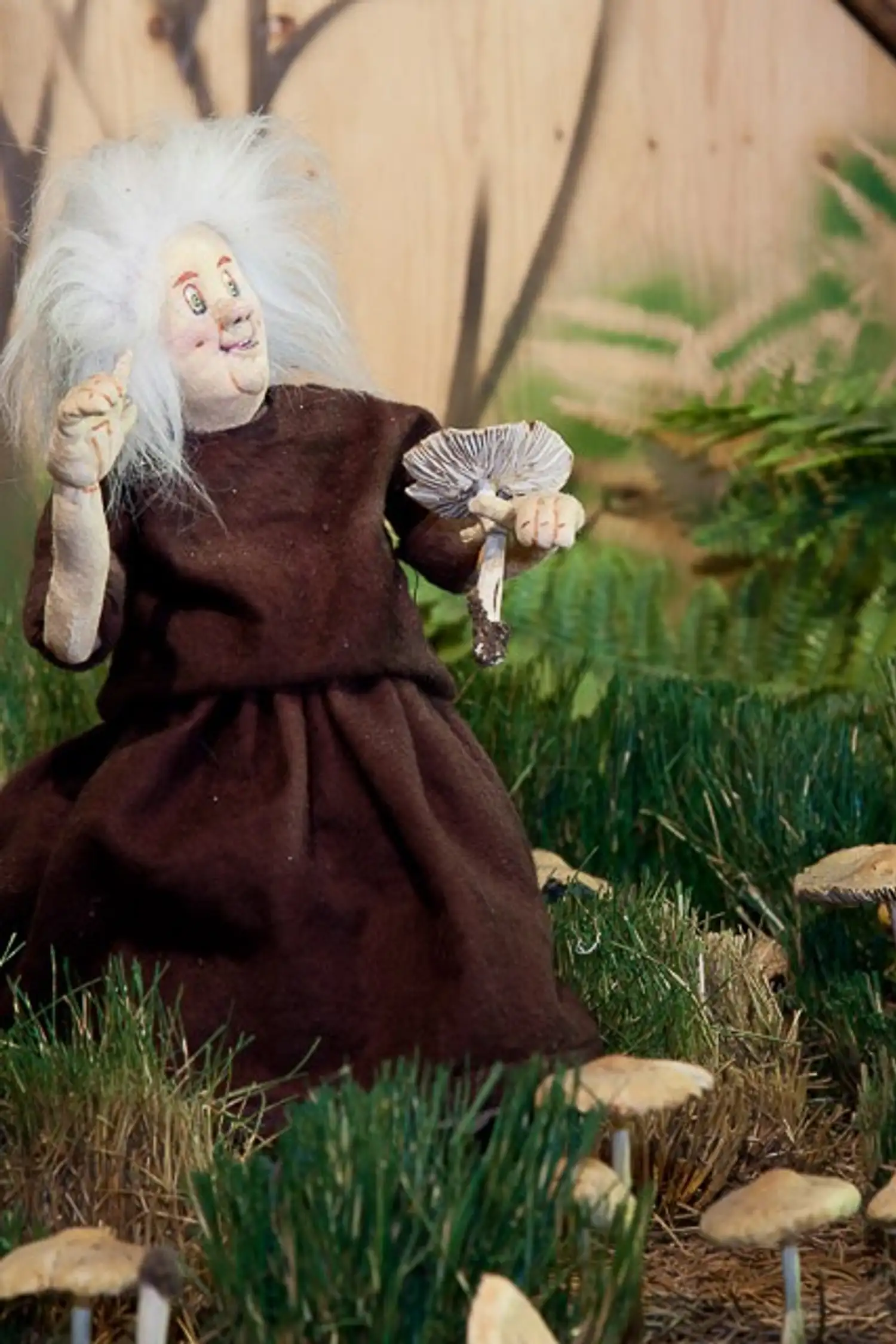Museo dei funghi e delle bambole