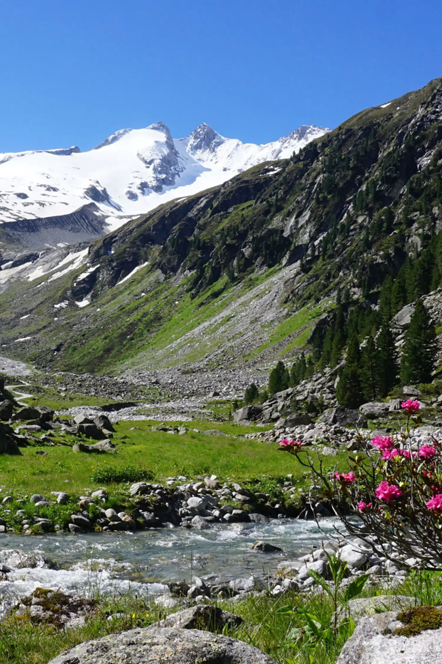Wildgerlostal und Zittauer Hütte