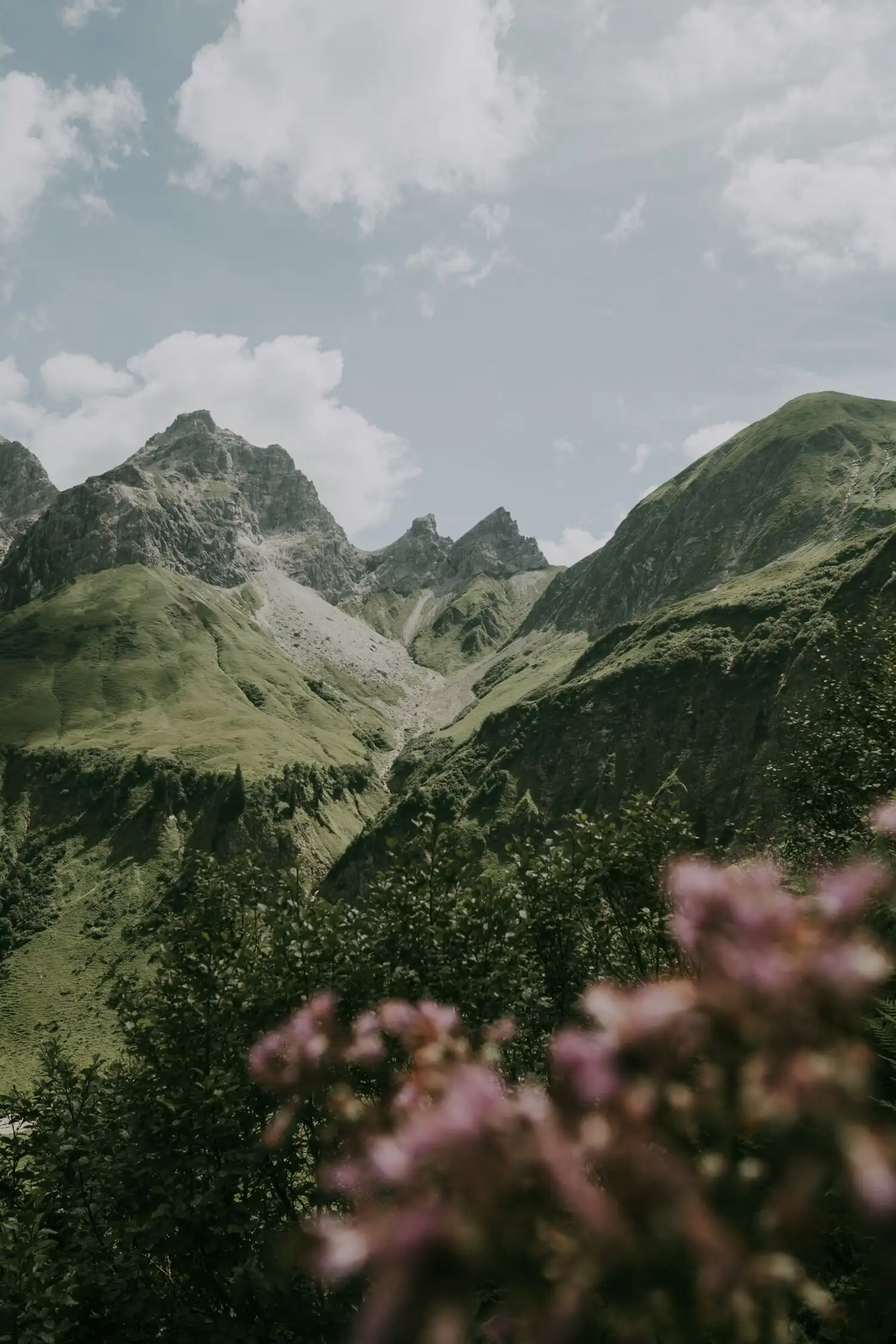 Geführte Wanderung „Wilde Berggipfel - Auf ins wildromantische Oytal“