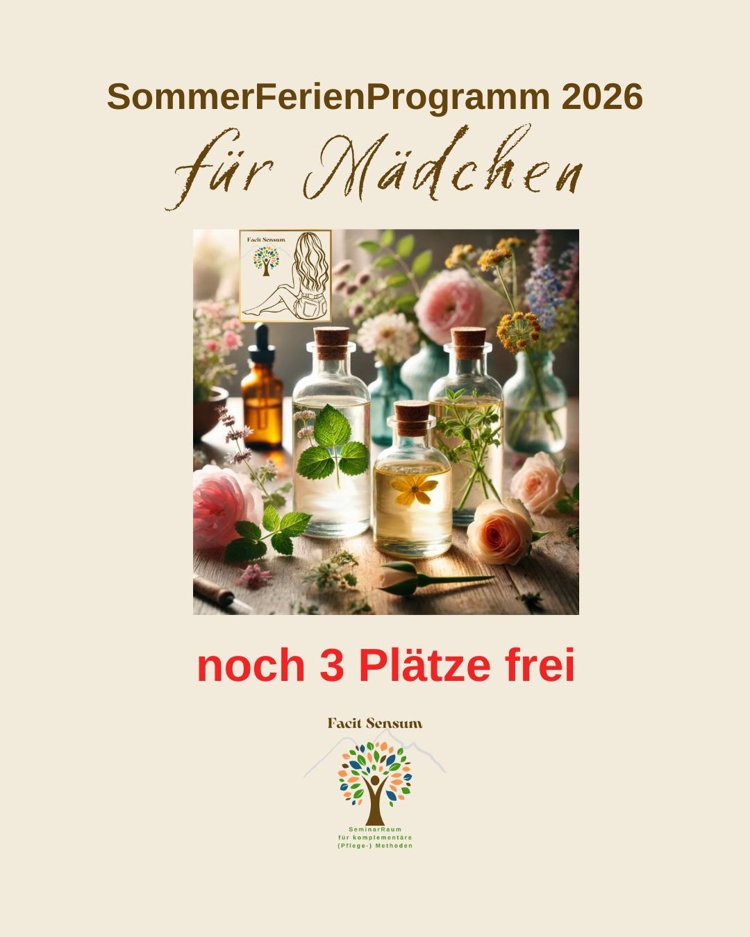 Sommerferienprogramm