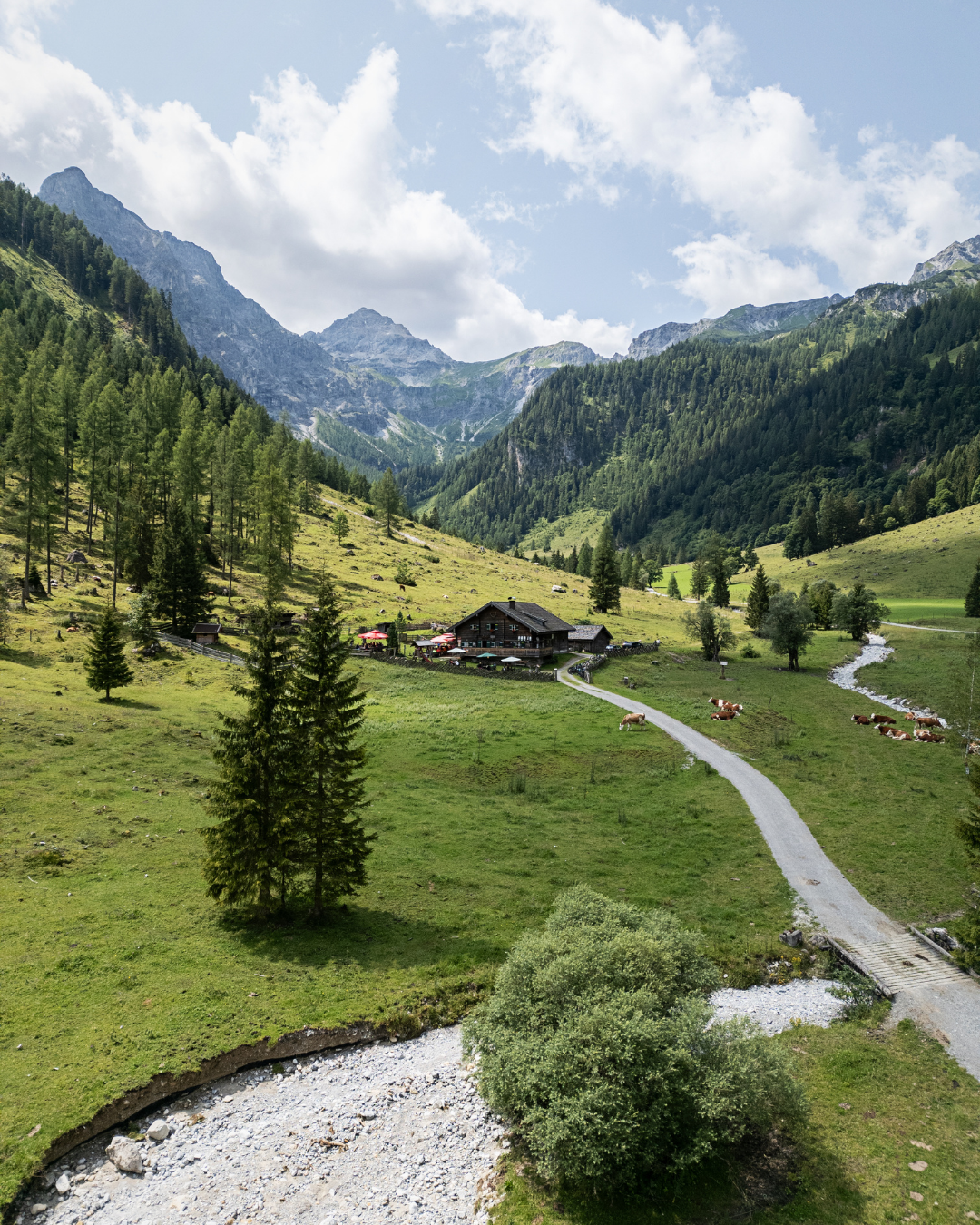 Erlebniswanderung "zur Marbach Alm"
