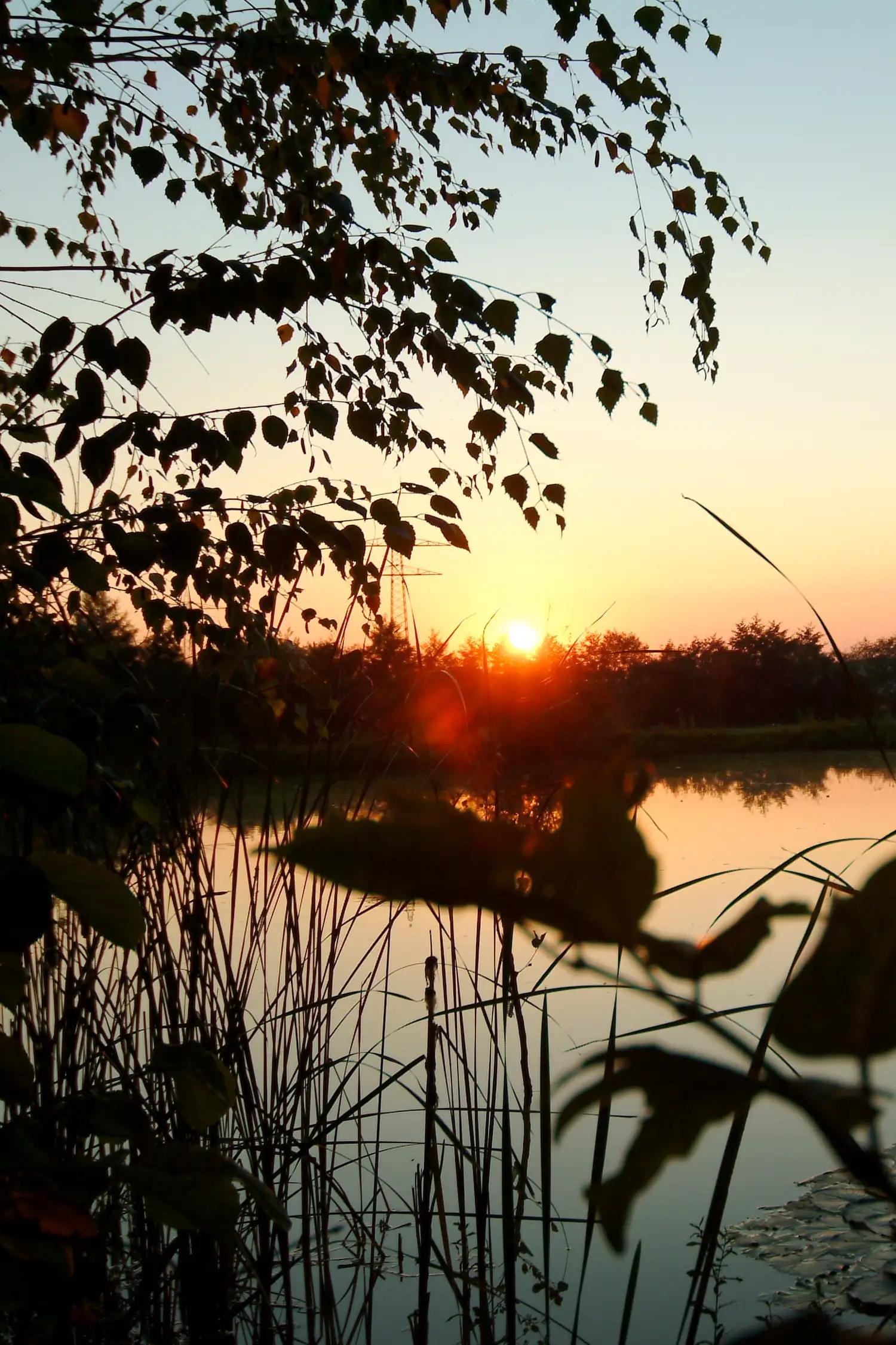 Sun and Moon—Yang and Yin Yoga for the Solar Eclipse