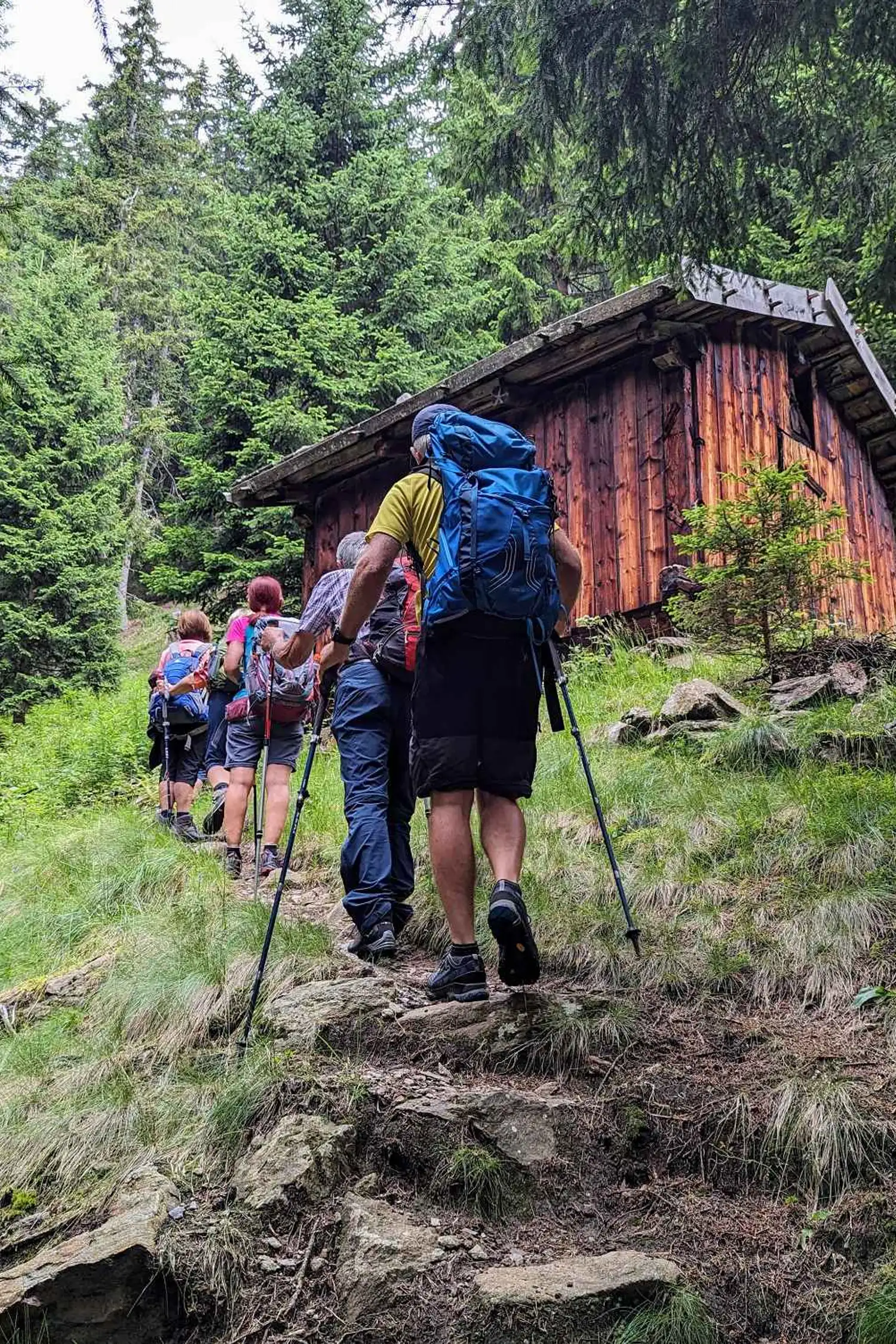 Geführte Wanderung - Astner Almrunde