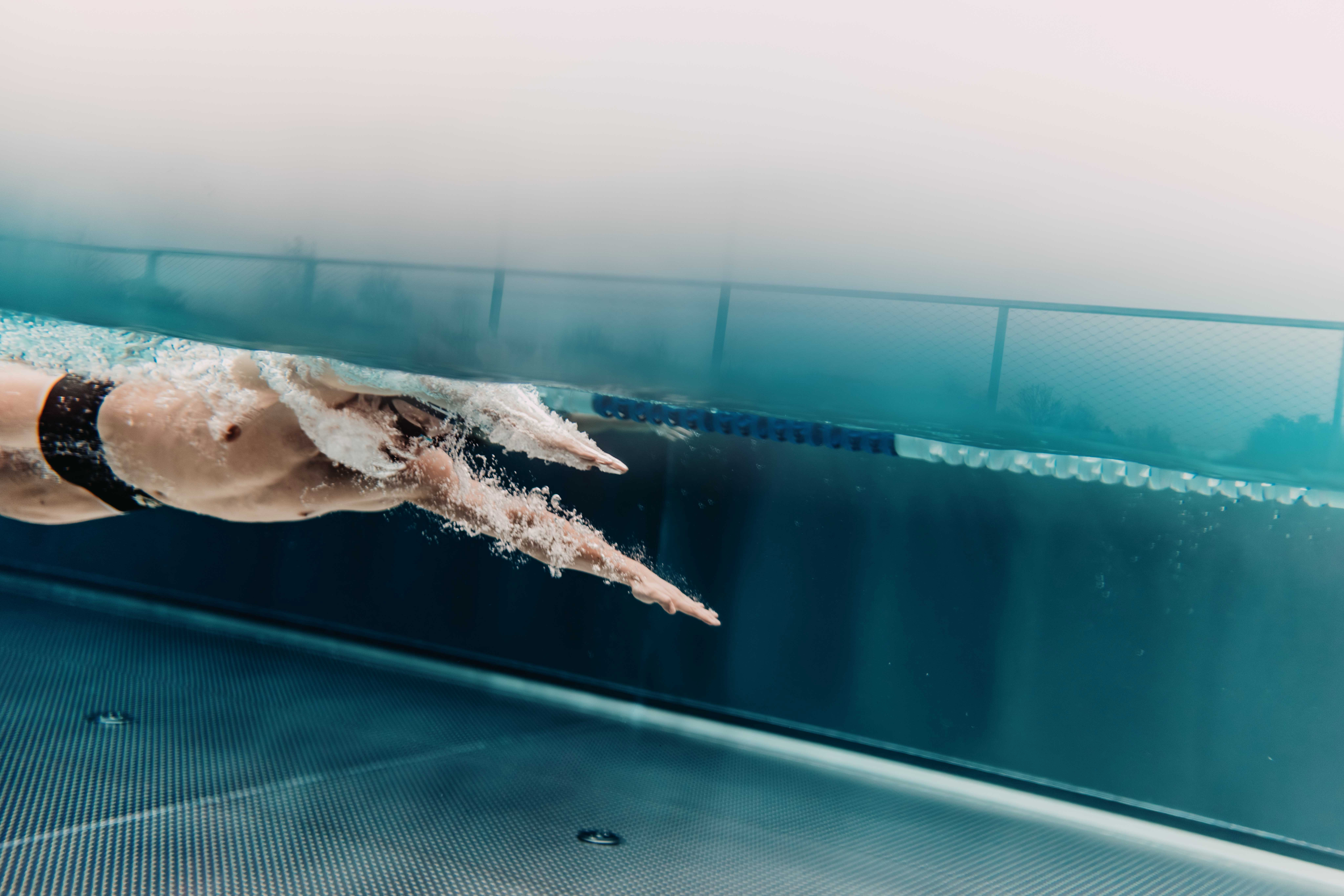 Swim Training: Group Class Focused on the Freestyle Stroke