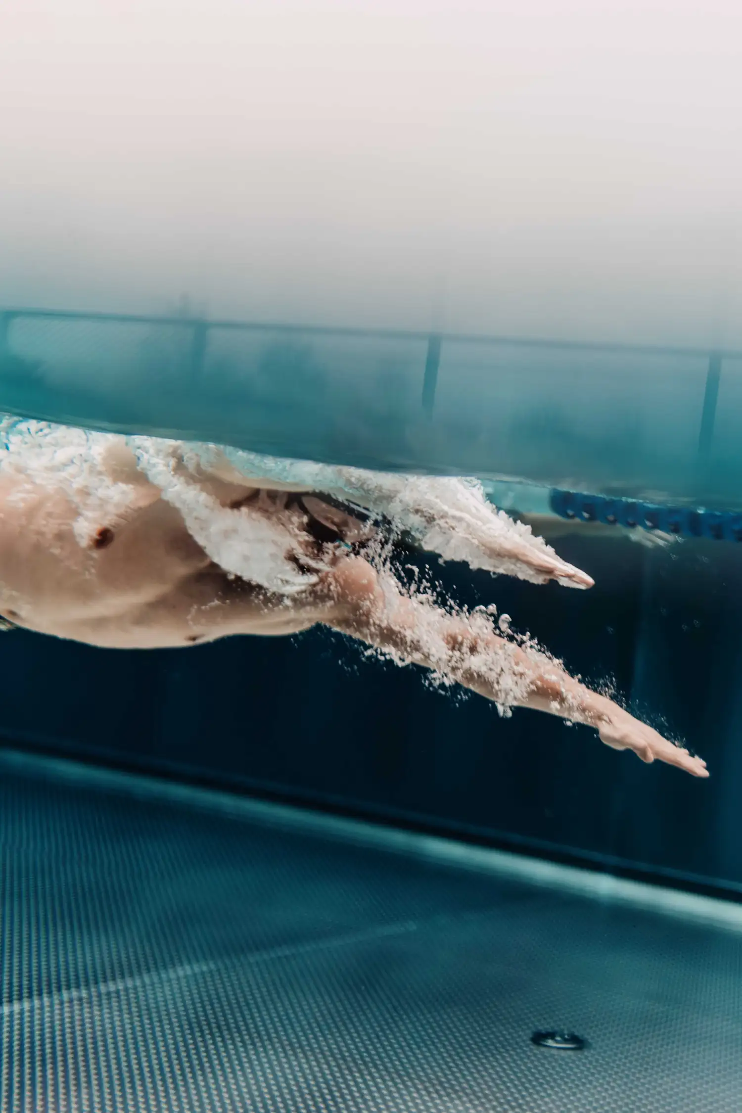 Swim Training: Group Class Focused on the Freestyle Stroke