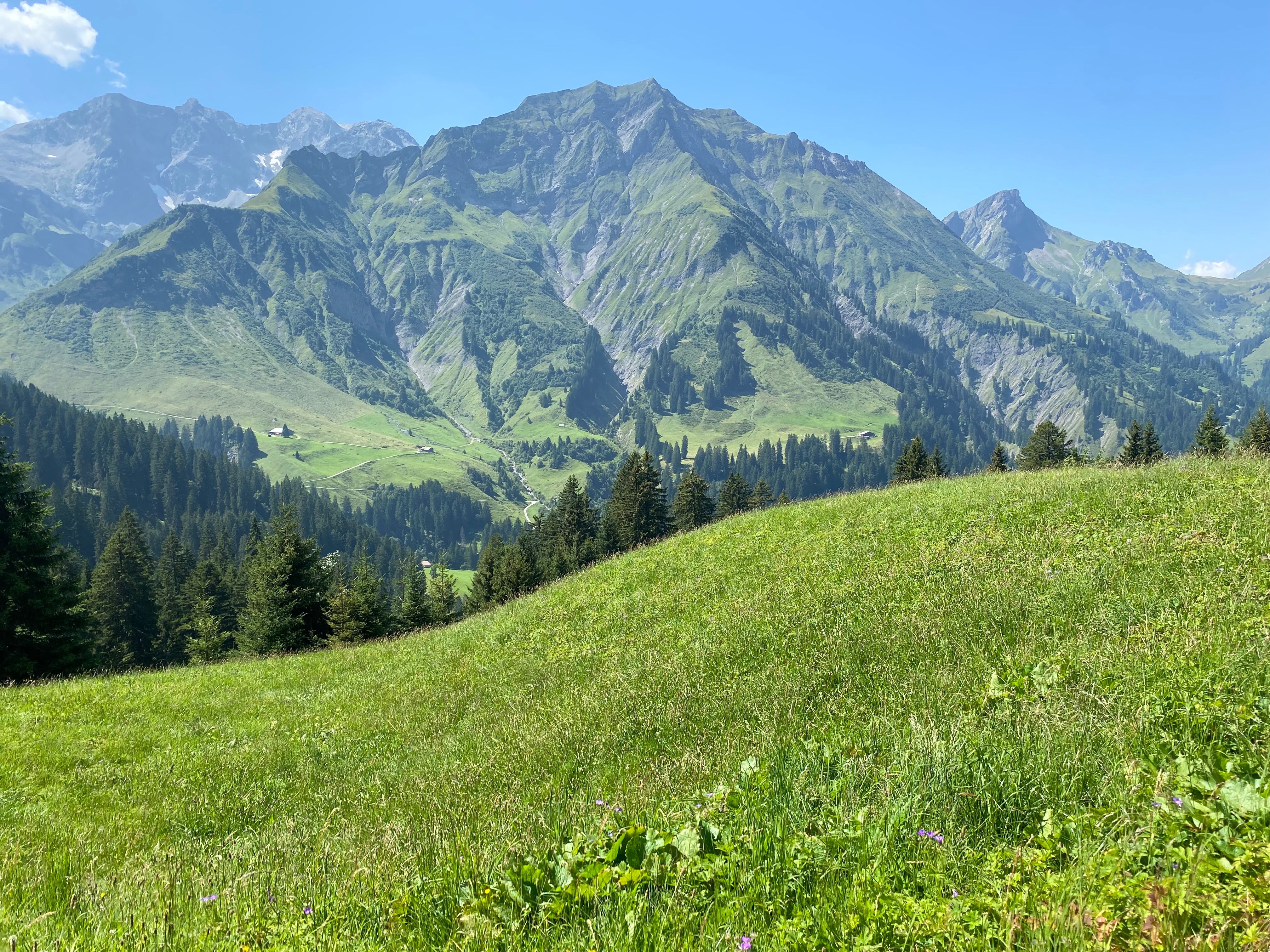 Steffisalp motor skills course