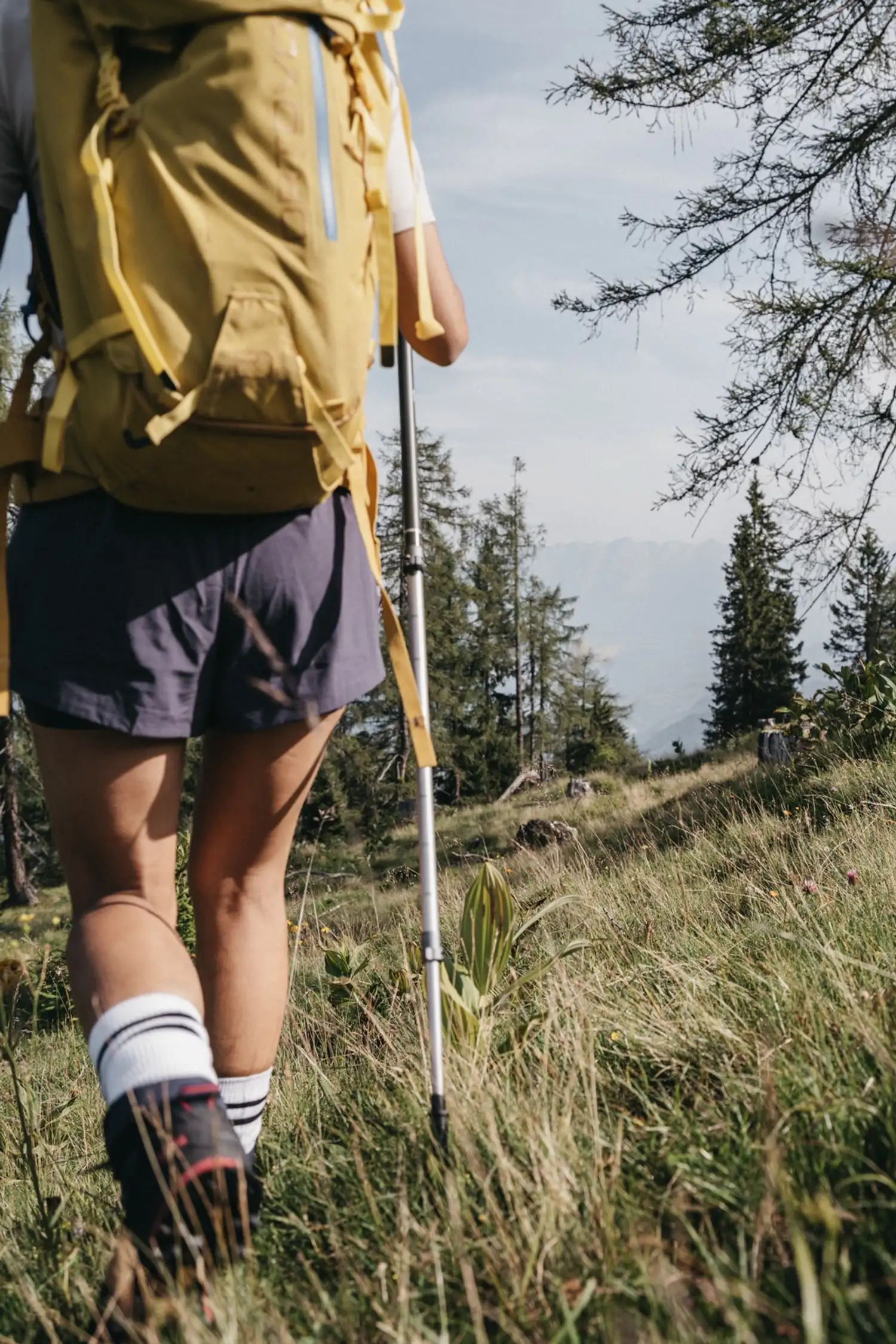 Hiking bus Herbie | Alpine pasture hike