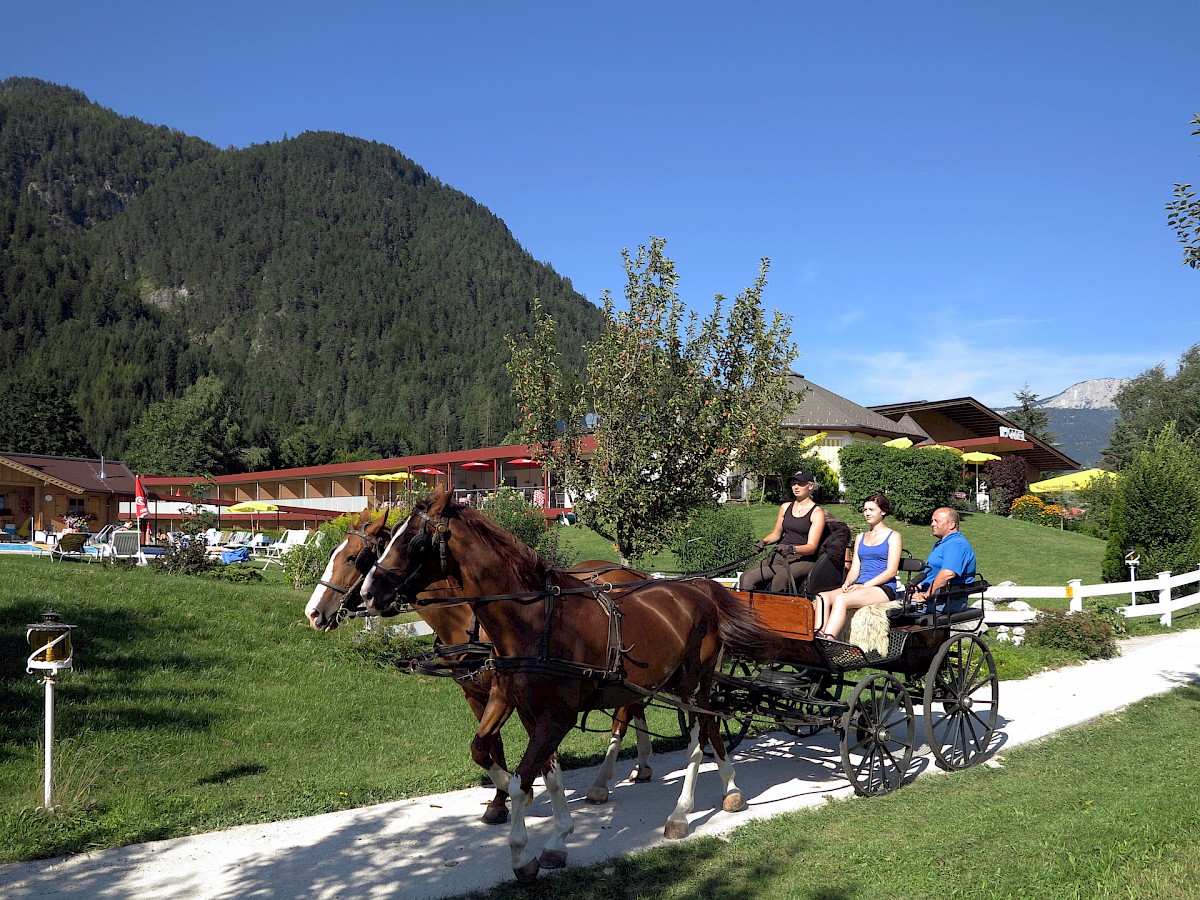 Horse-drawn carriage ride