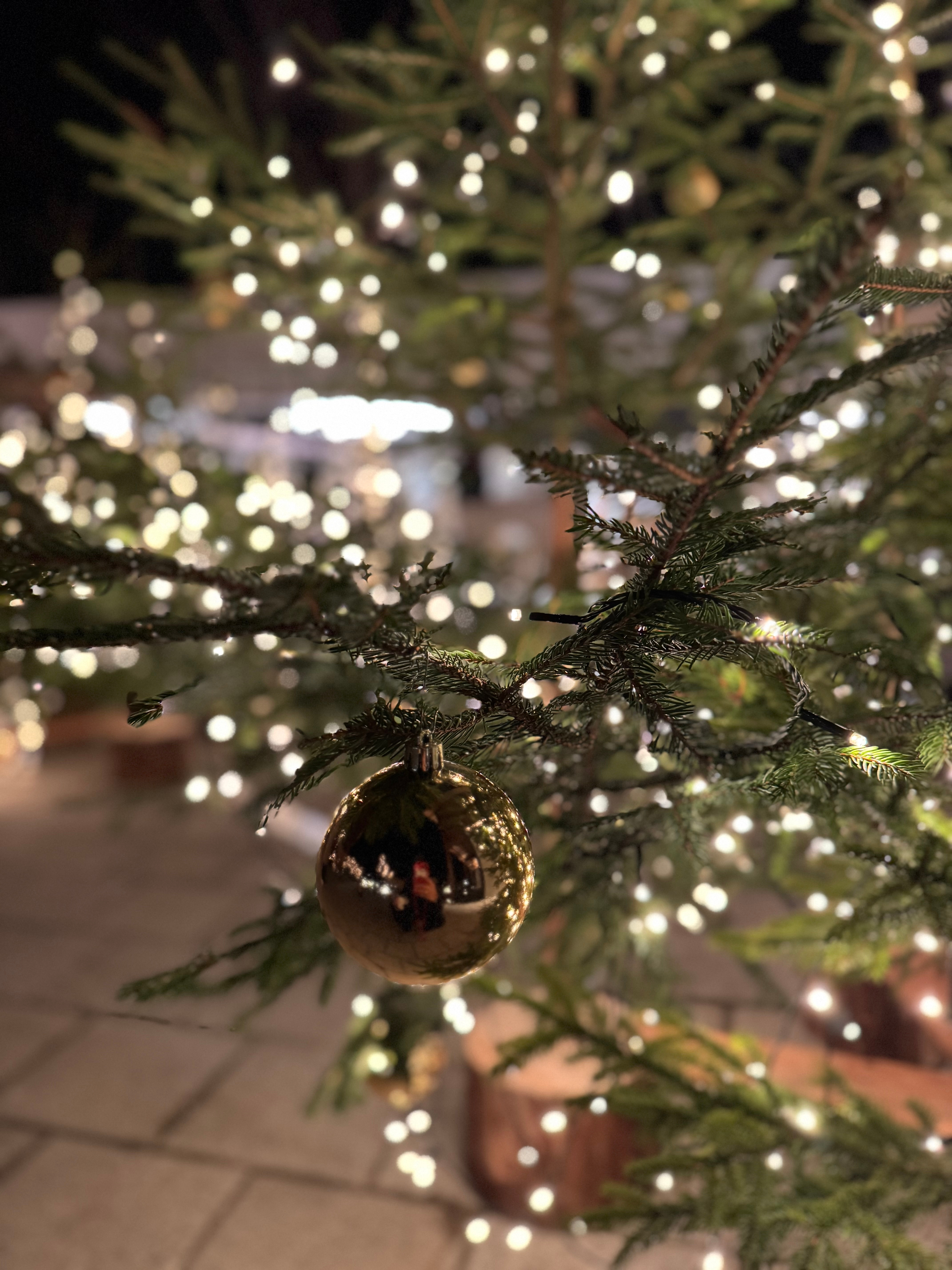 Kessler's Weihnachtszauberwald
