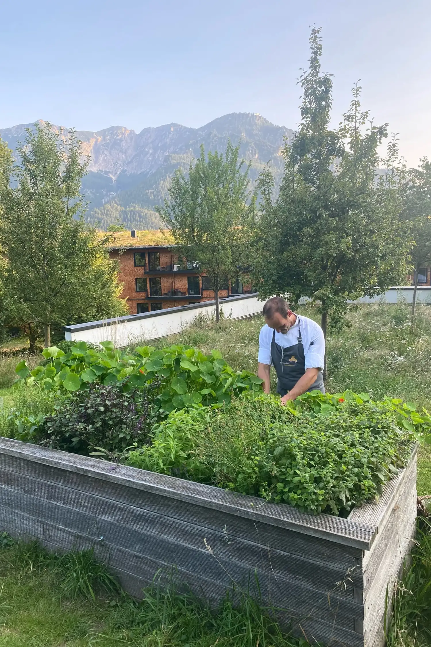 Herb Garden