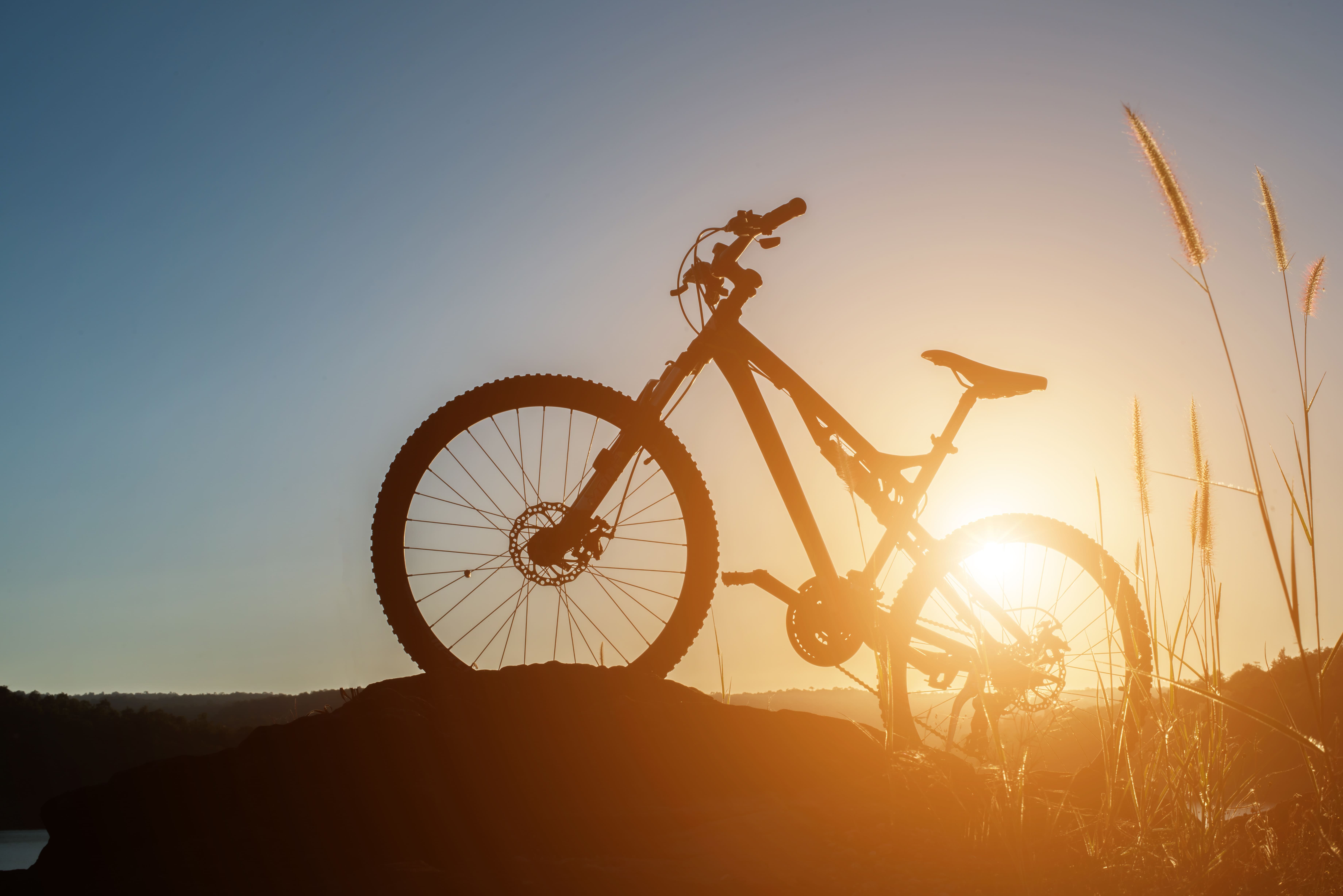 Rent a Bike