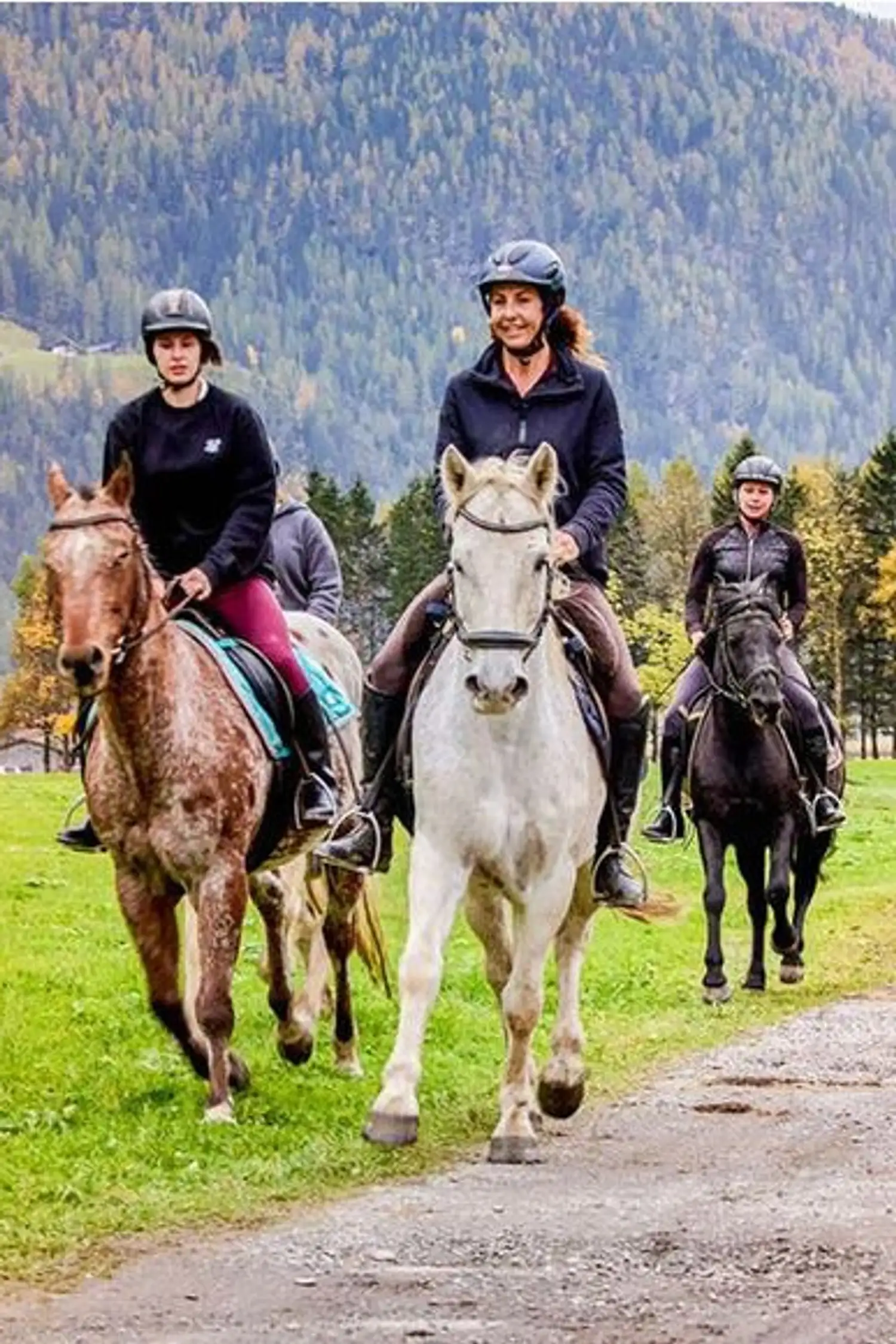 Pegasus Riding Stables - Trail Rides, Pony Carriage Rides, Riding Lessons