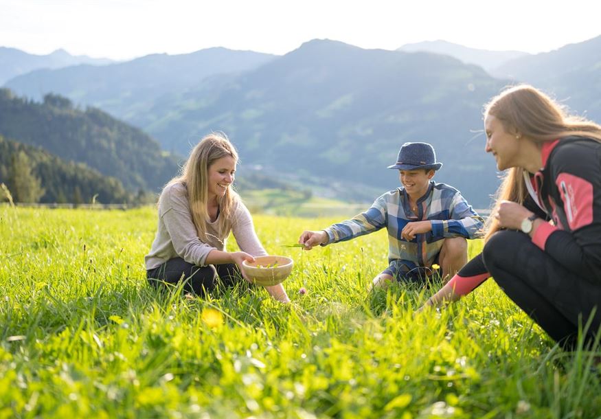 Geführte Tour Natur & Wandern