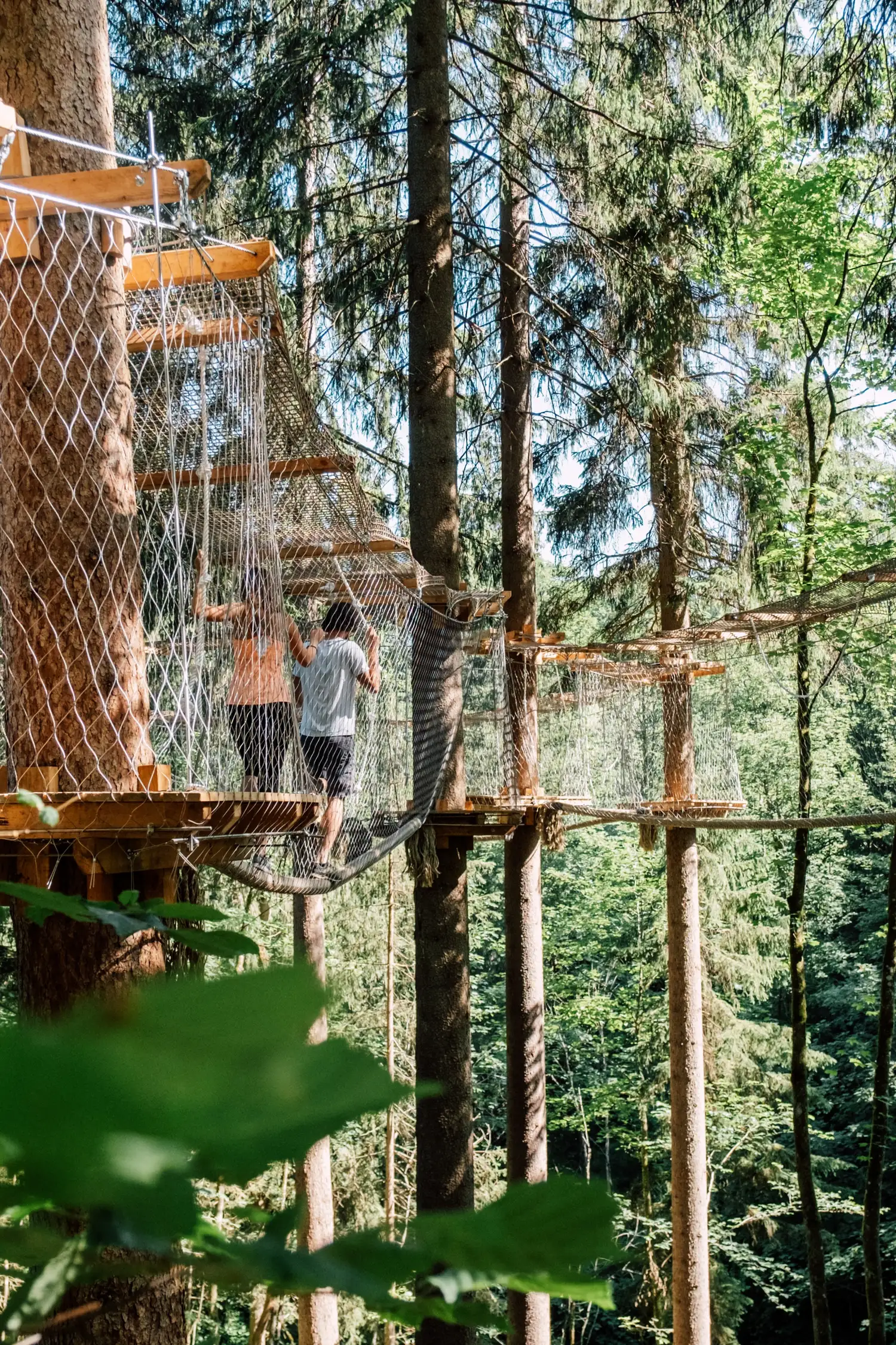 JODY's tree course in St. Johann