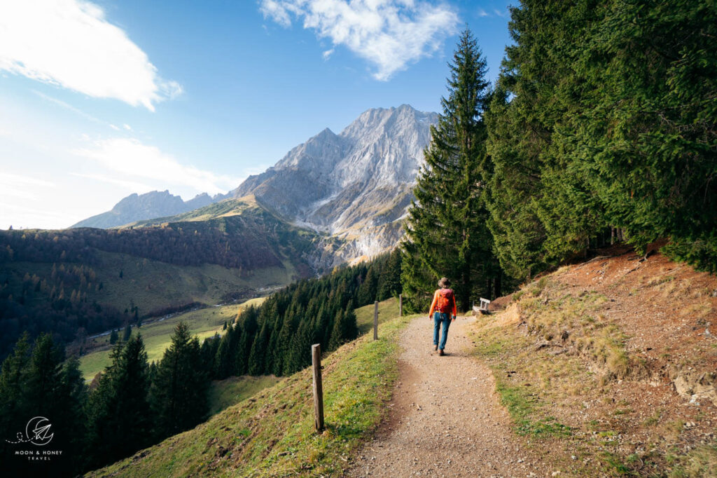 Mittlere Wanderung - Erichhütte Panoramaweg (Mobility-Card mitbringen für Wanderbus)