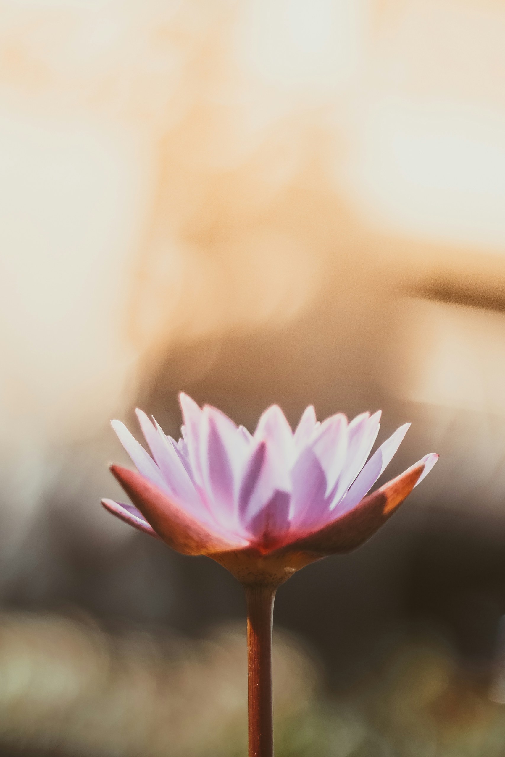 Meditation in the morning