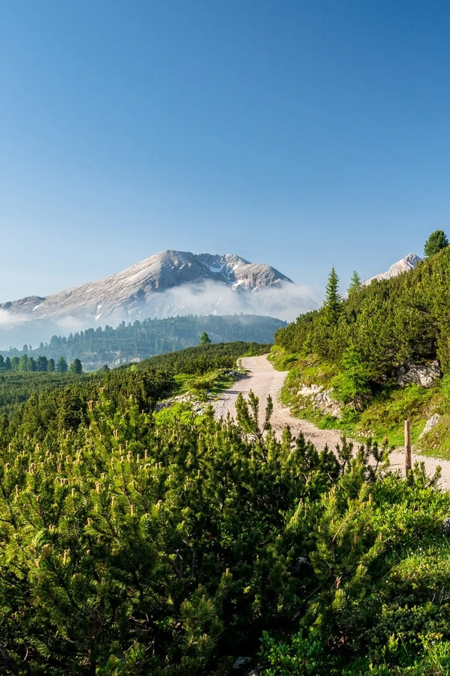 Wanderung auf die Sennesalm - Seekofelhütte