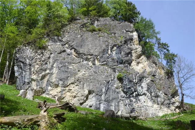 BERG-GESUND Rock Climbing Introductory Session