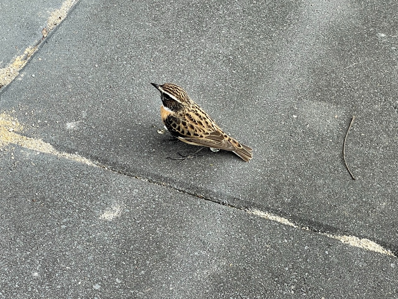 Tierwelt hautnah erleben