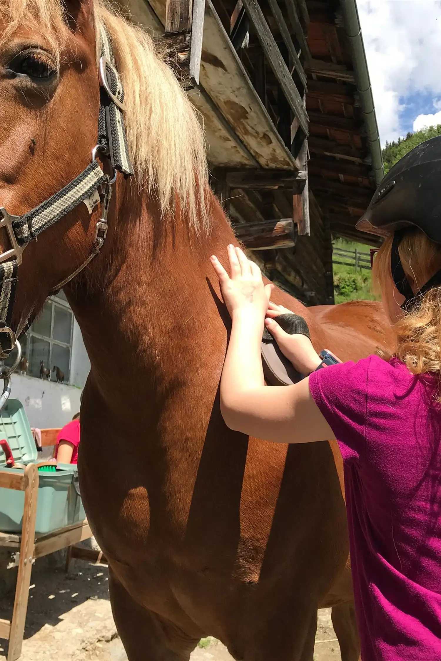 Pony Time