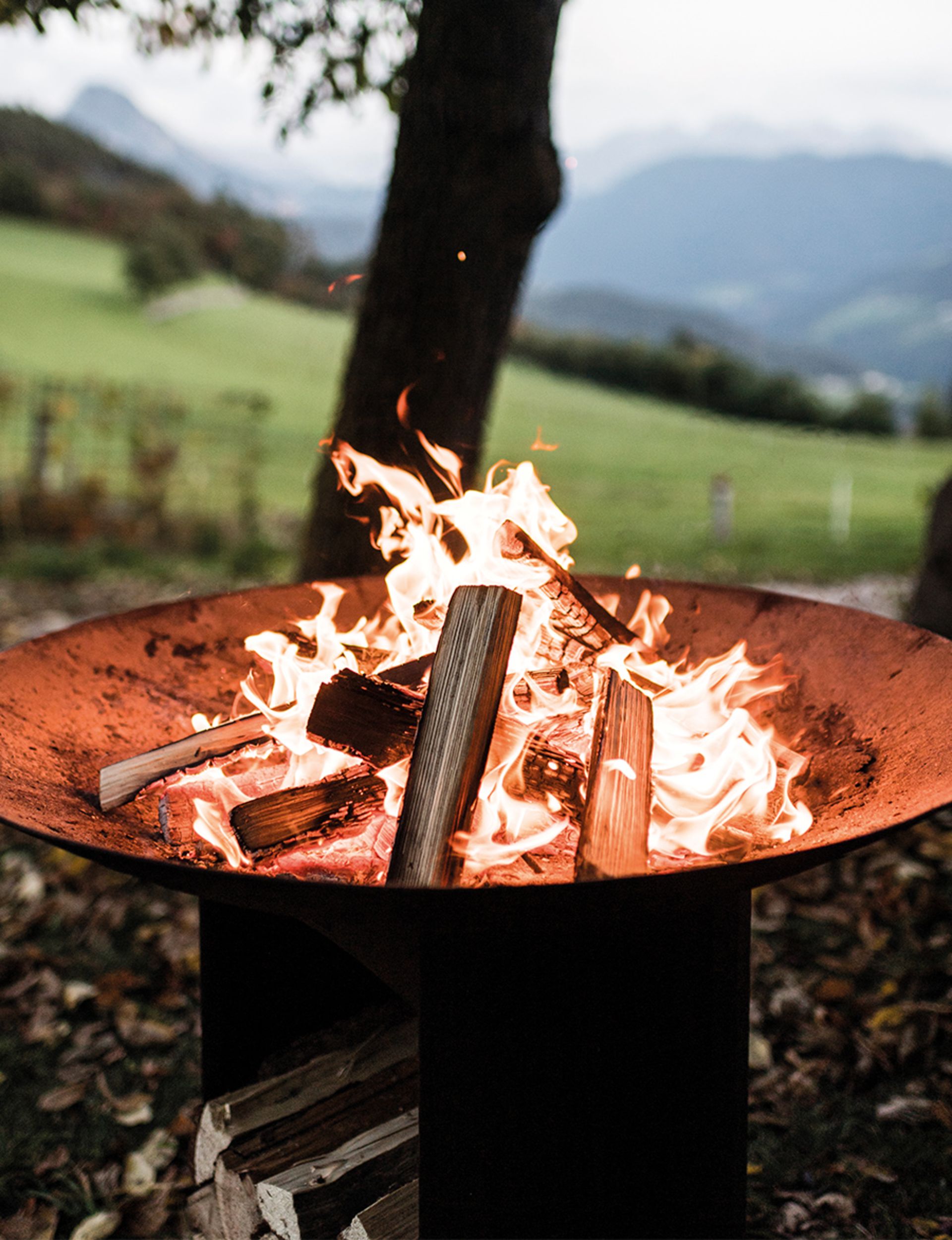 Campfire & wine