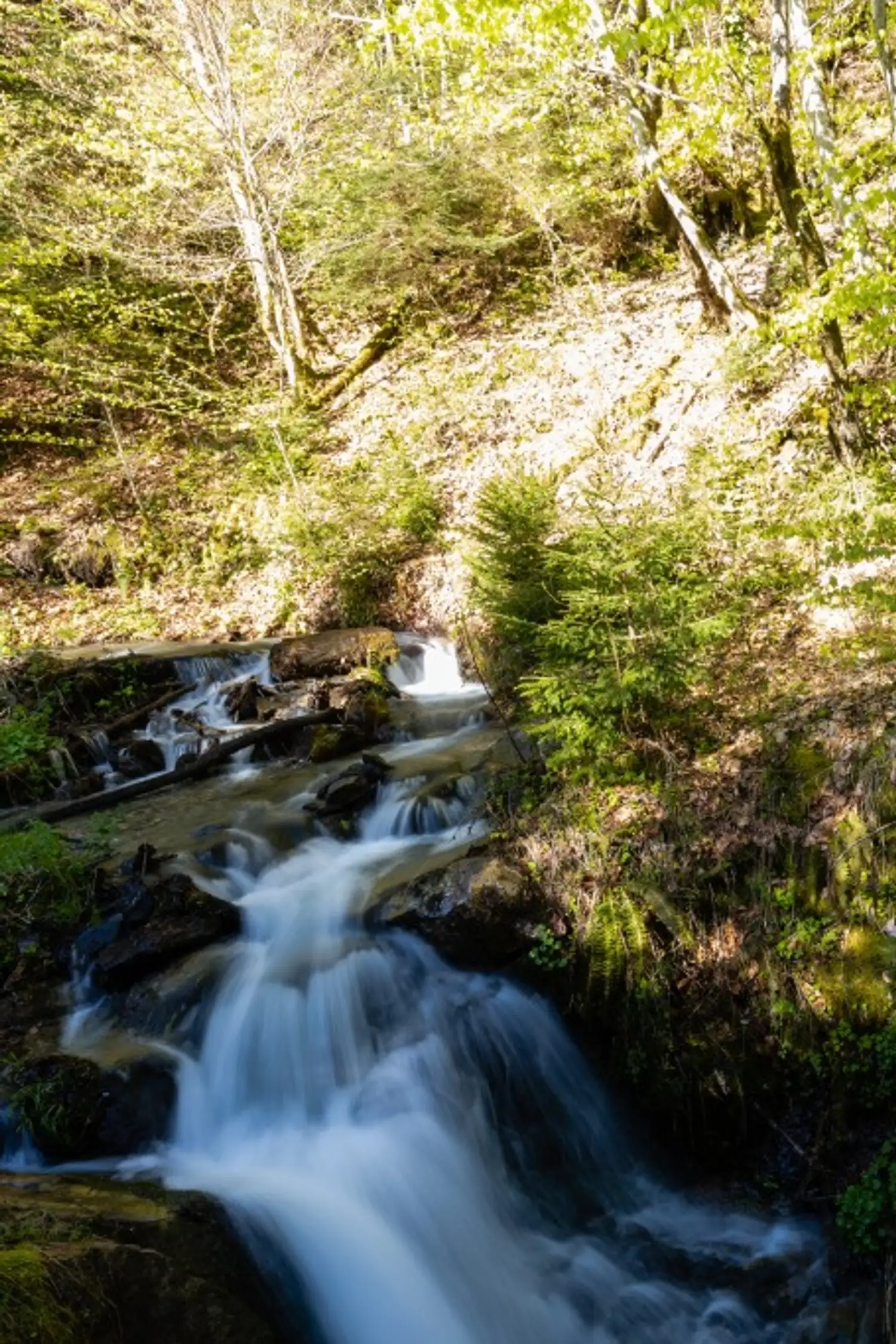 Hike Wildbachweg Vandans