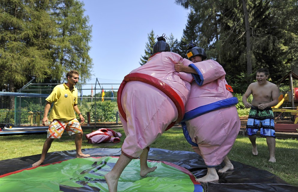 Sumo-Ringen