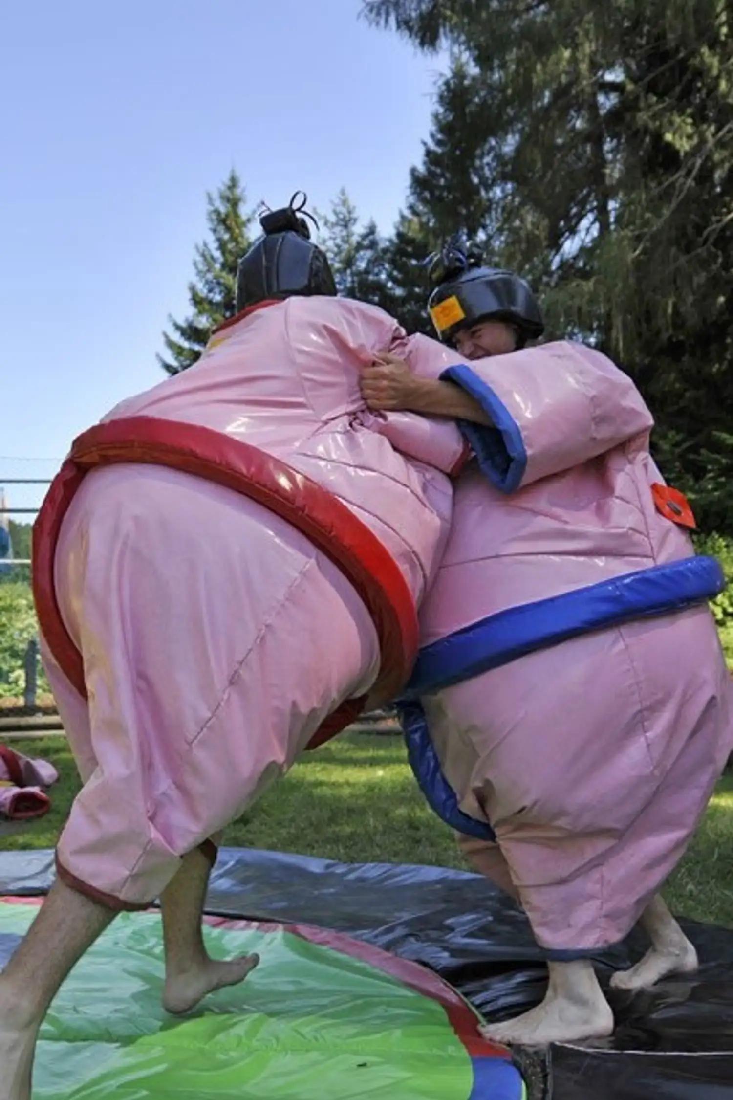 Sumo Wrestling