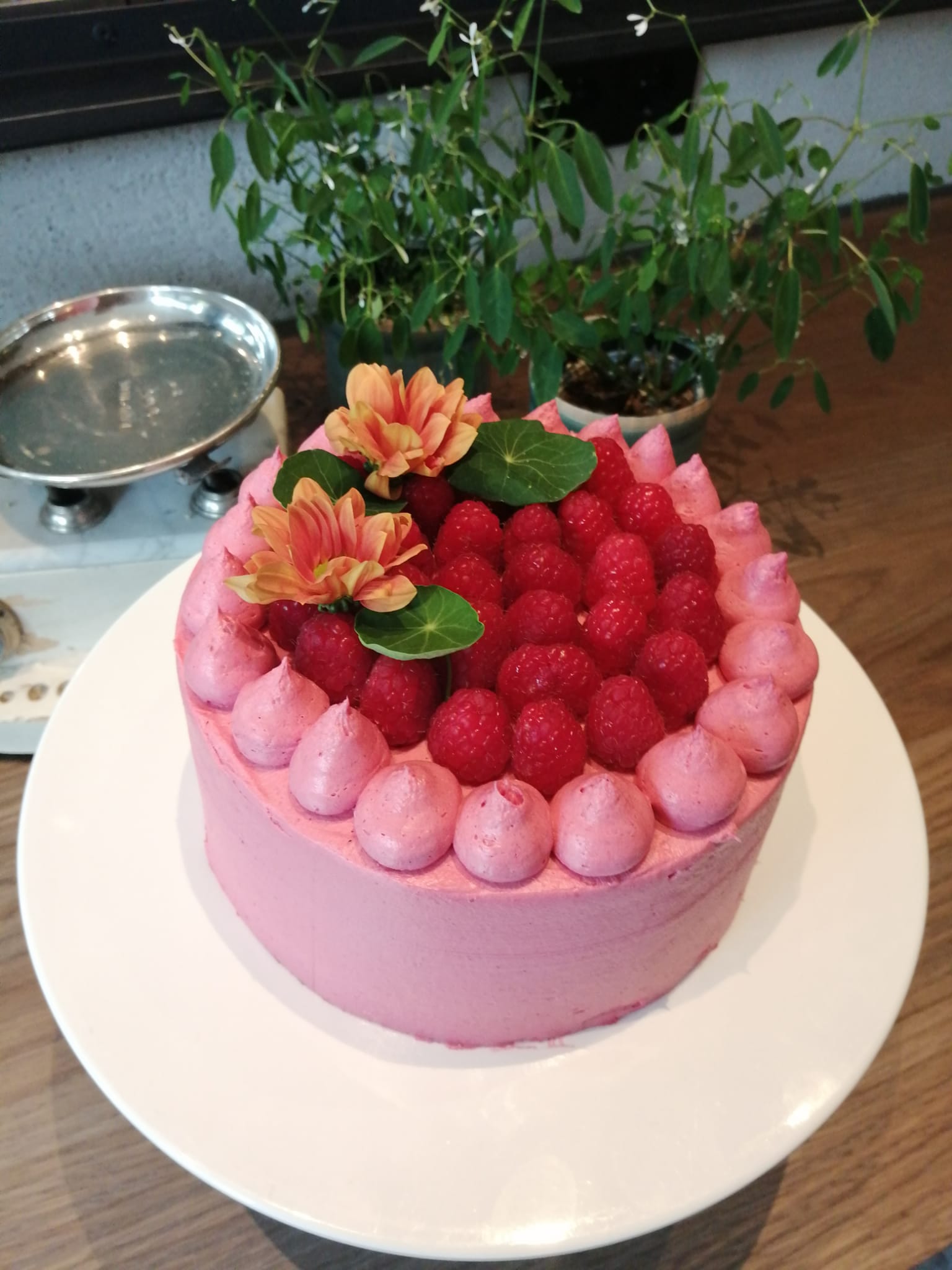 Cake for special occasions