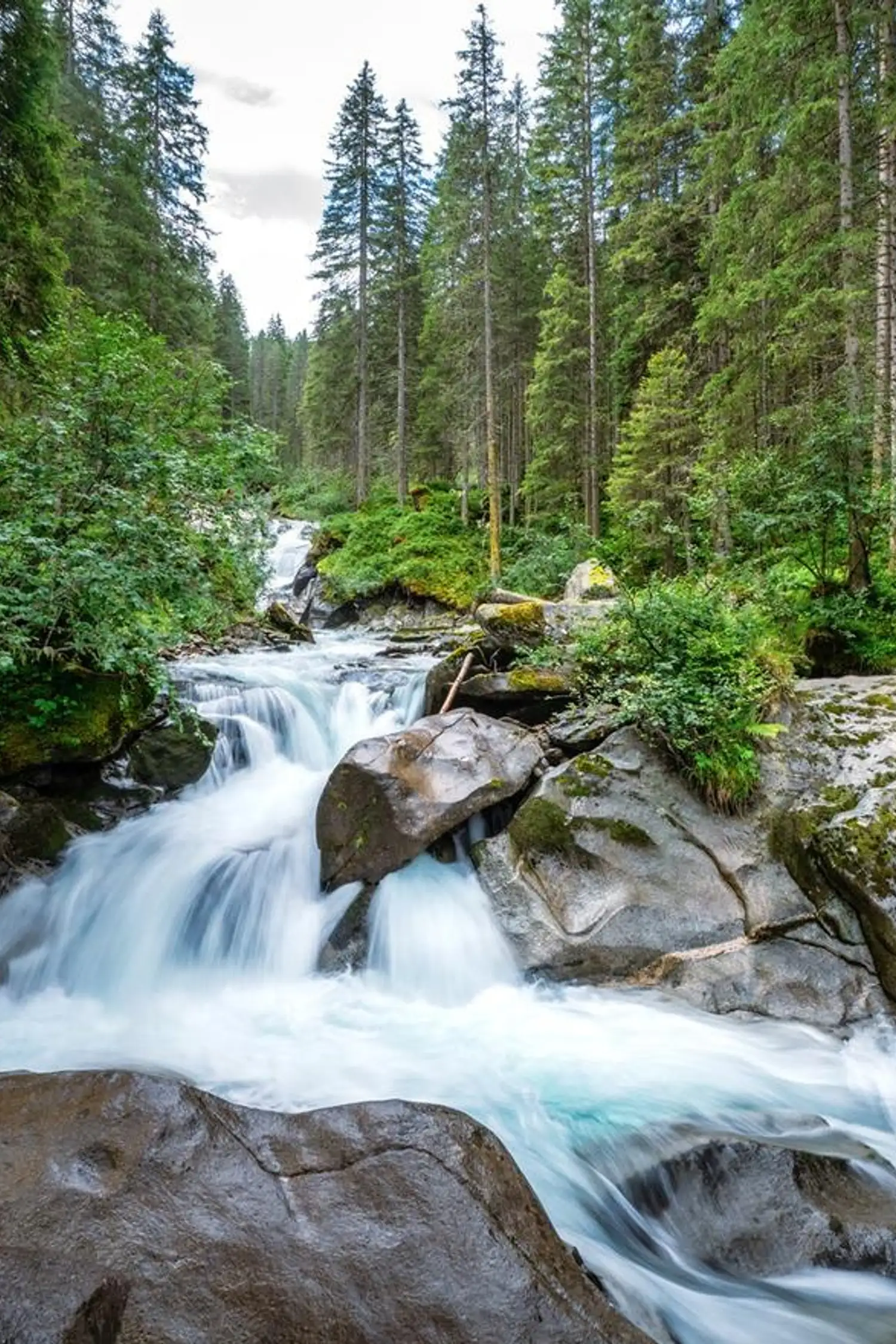 Guided ranger tour into the Wildgerlostal valley