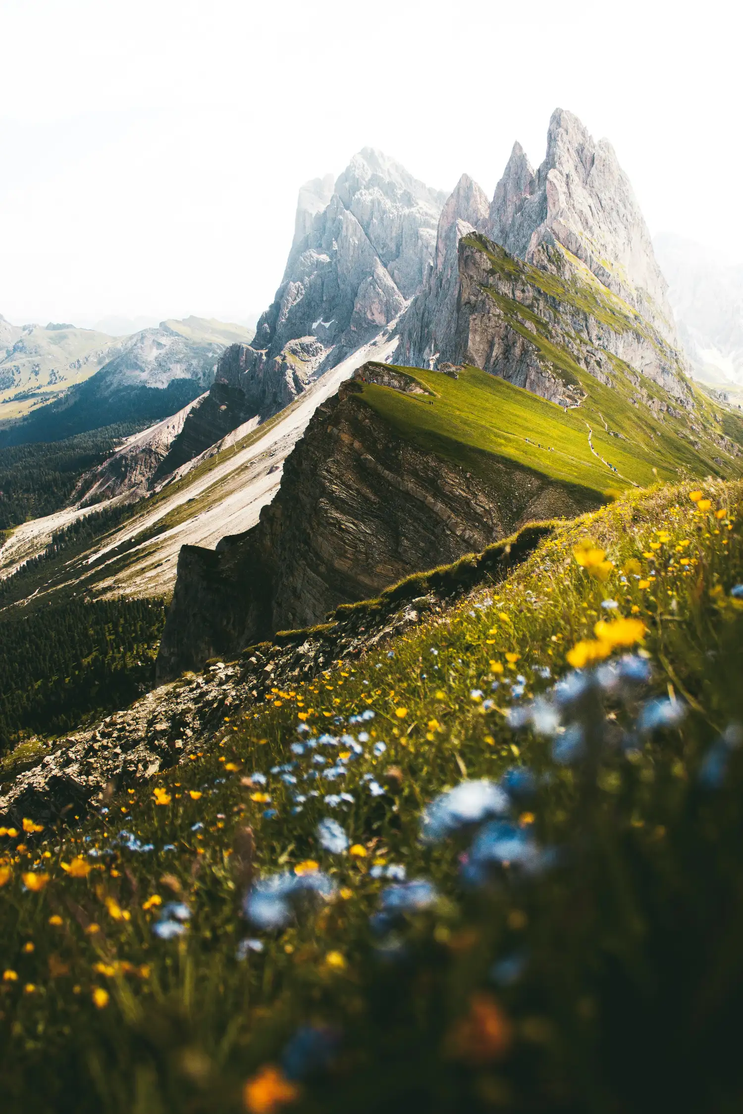 Seceda – the postcard view of the Dolomites
