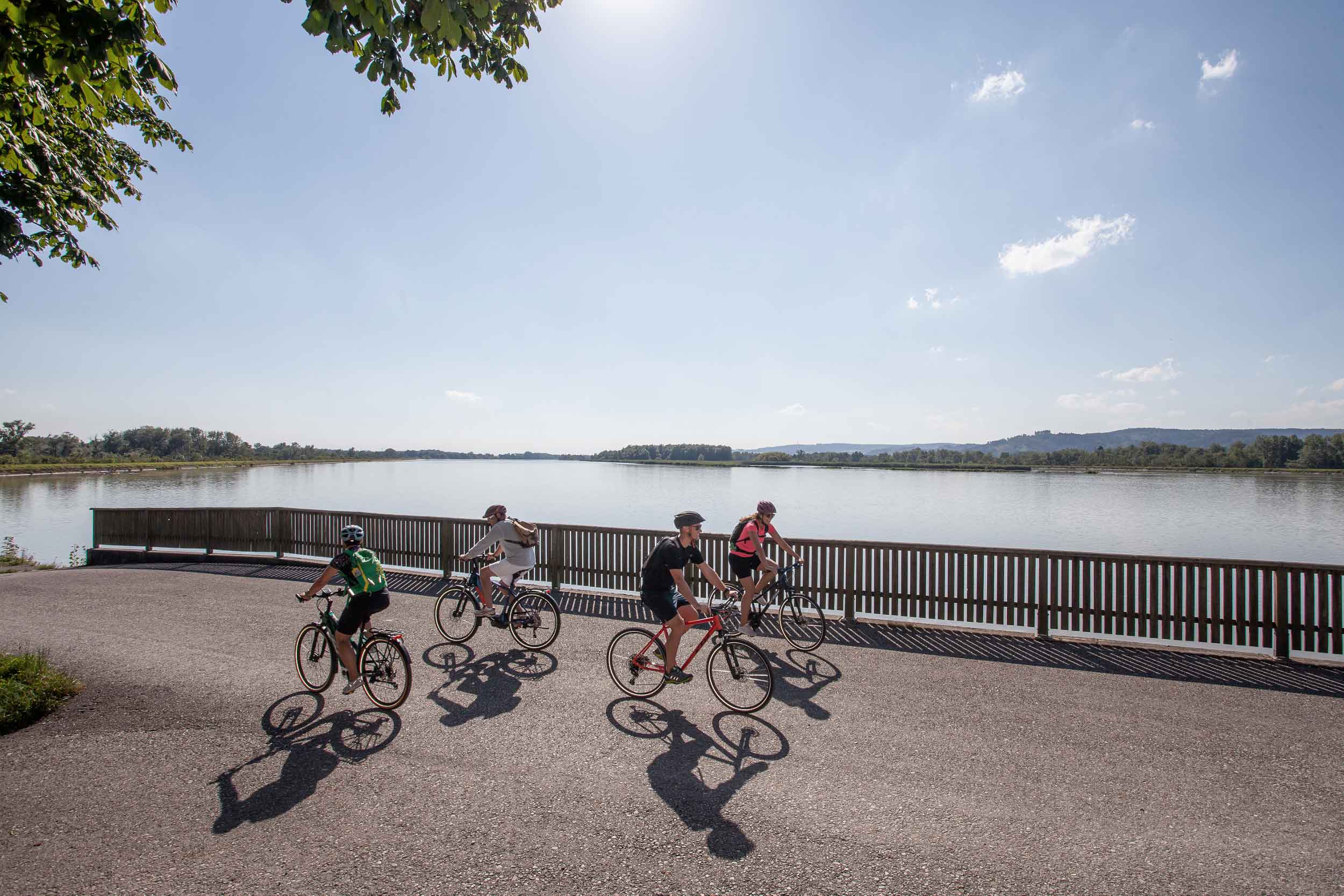 Radgenuss im Quellenviertel erleben