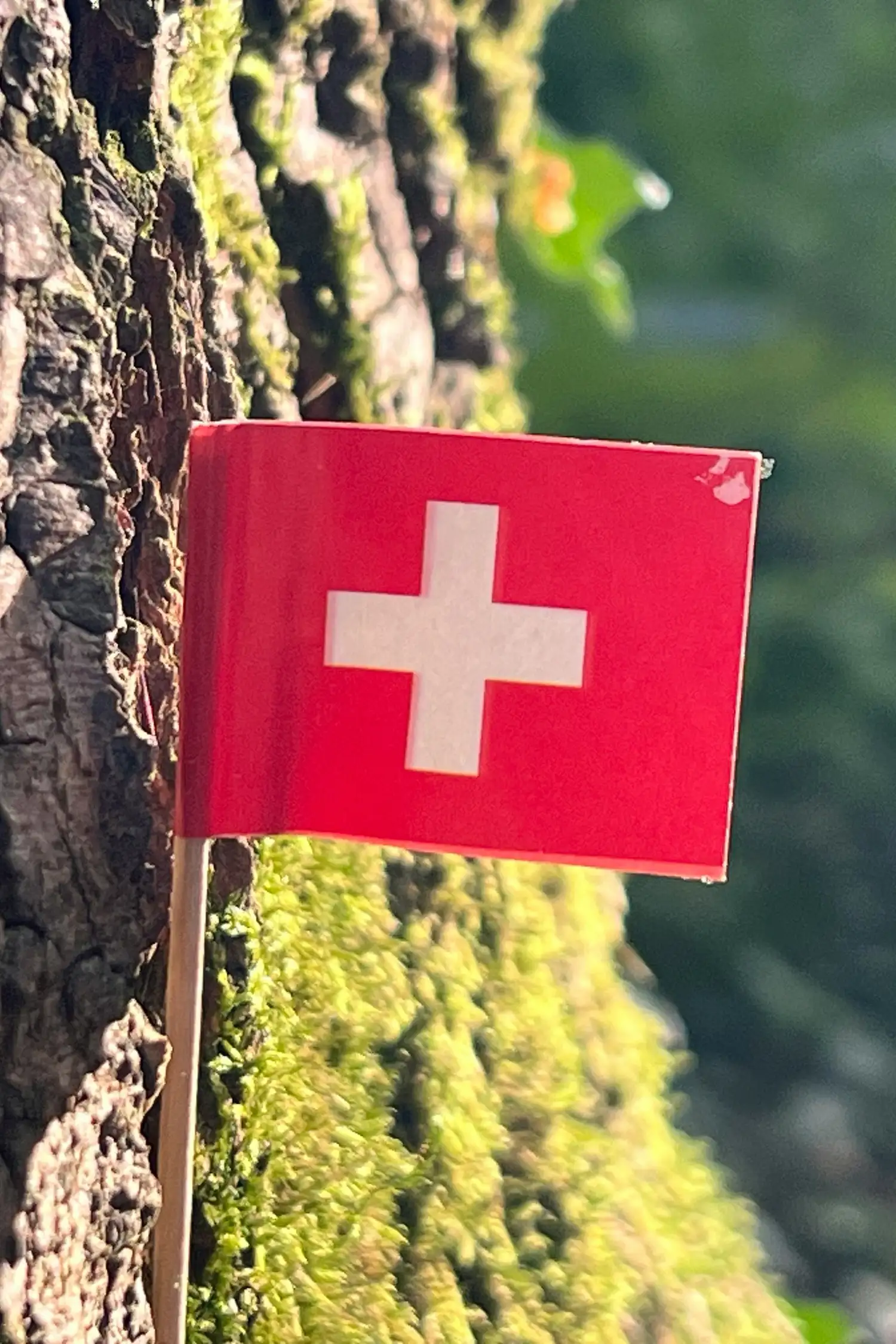 1. August in Brigels