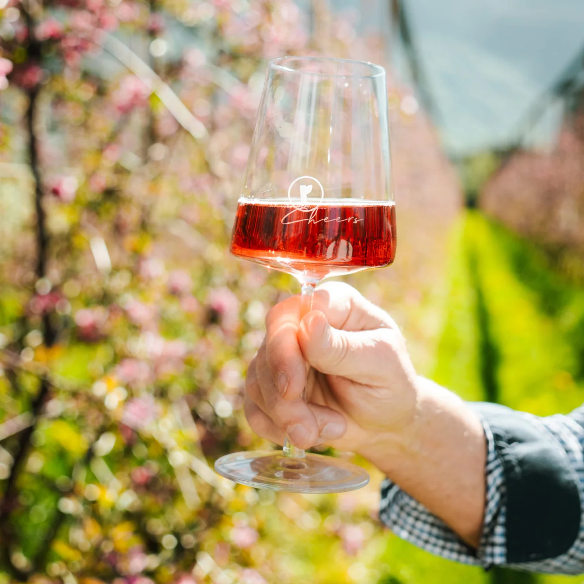 Sparkling Rocco Tasting