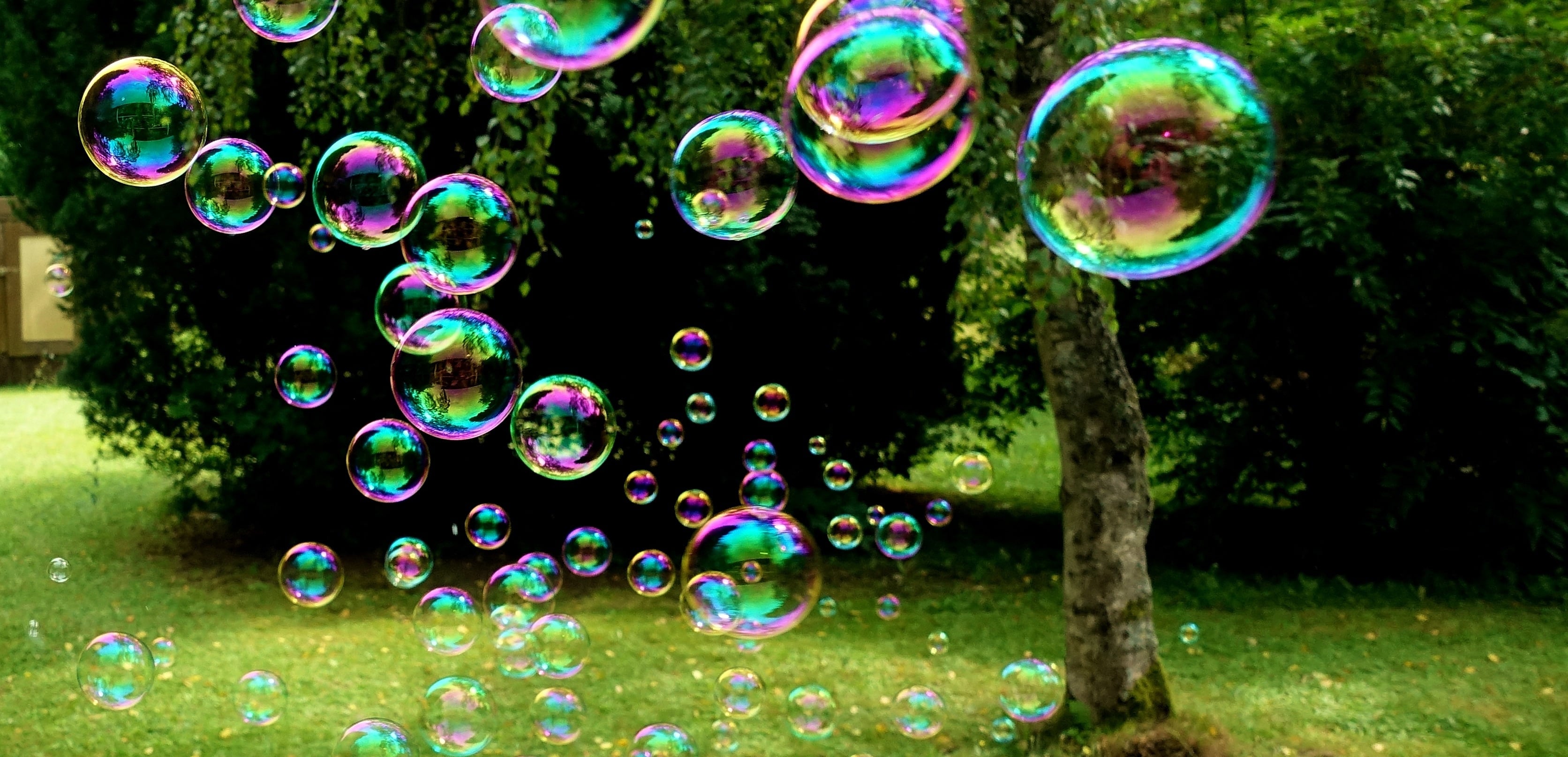 Garden party by the pond - fun, games & family action