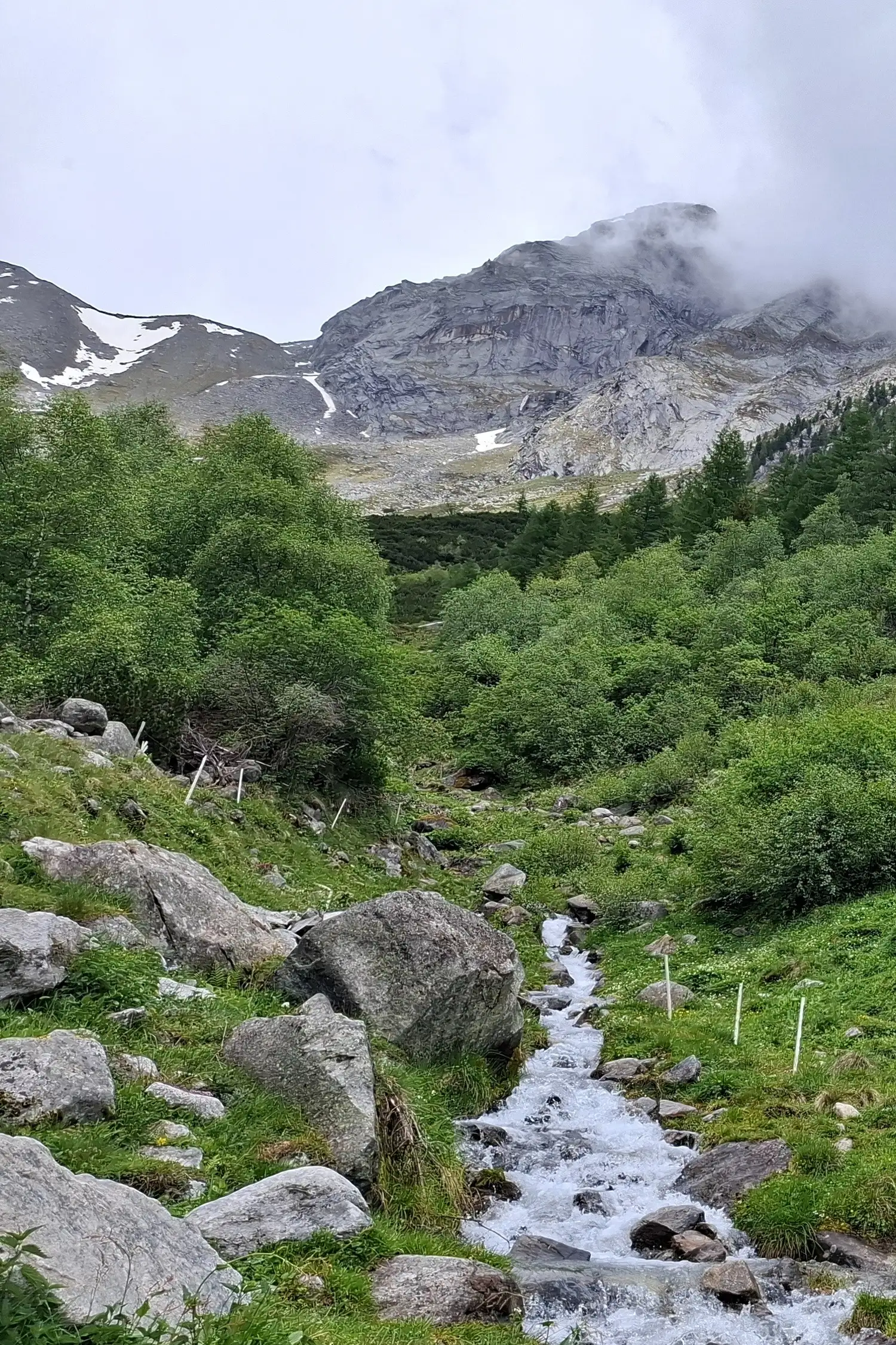 Hike | Wollbachalm Hut*
