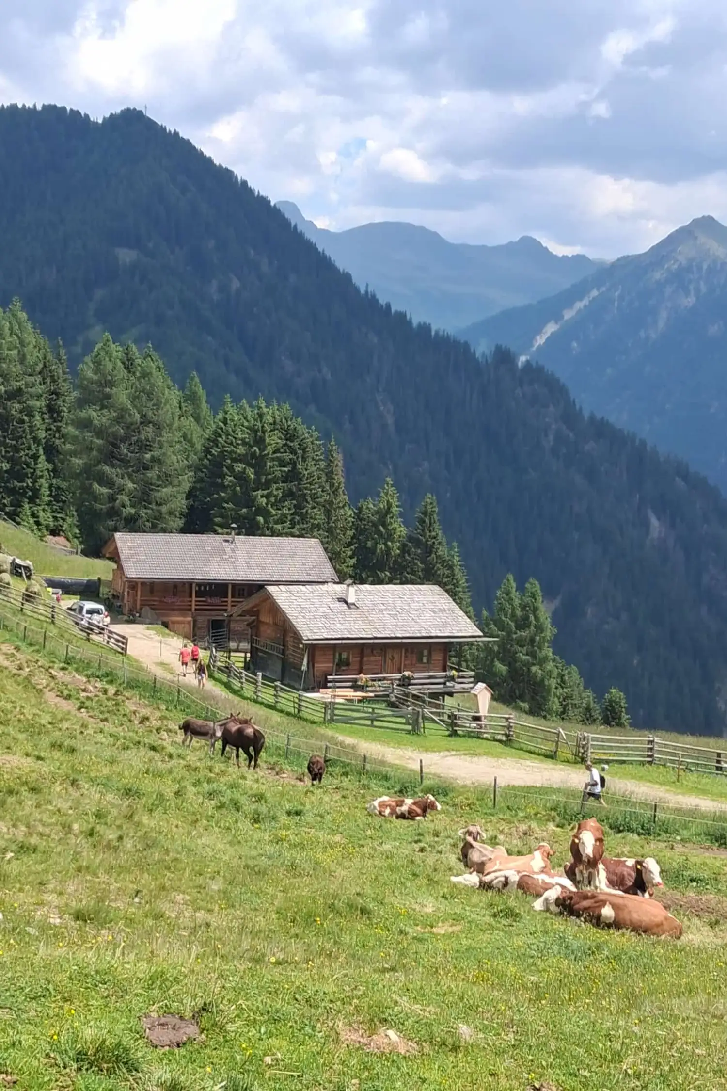 Escursione | Malga Laxiden*
