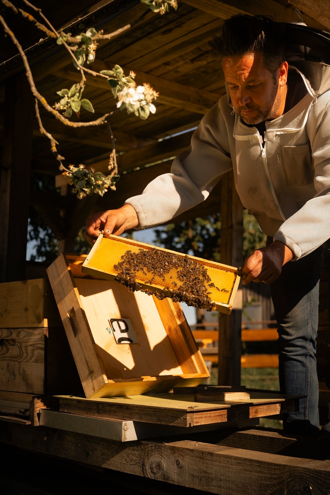 "Bees & Honey" — Our Feuerberg master beekeeper, Hannes, offers honey-sweet insights into the world of bees... 