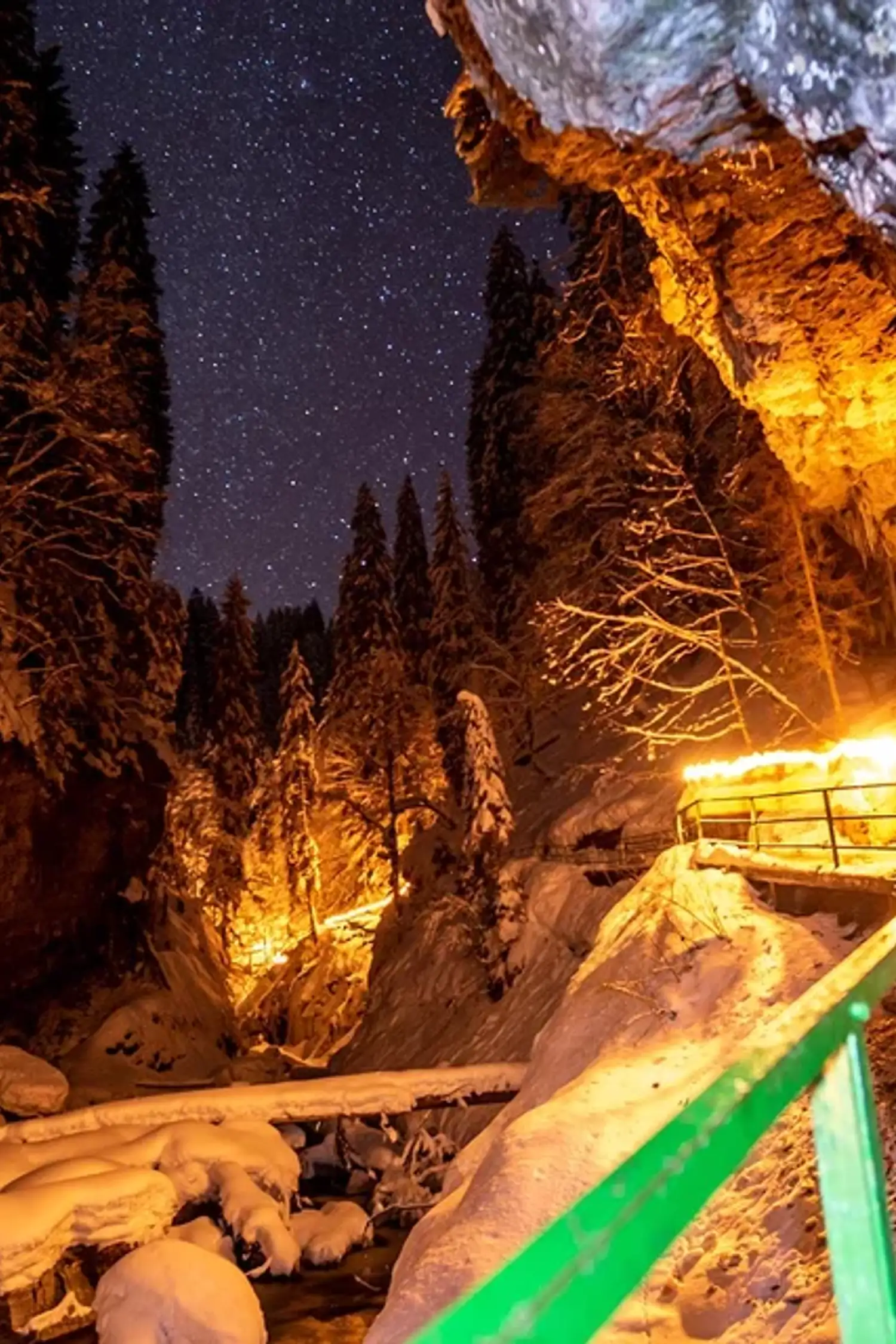 Slide 5