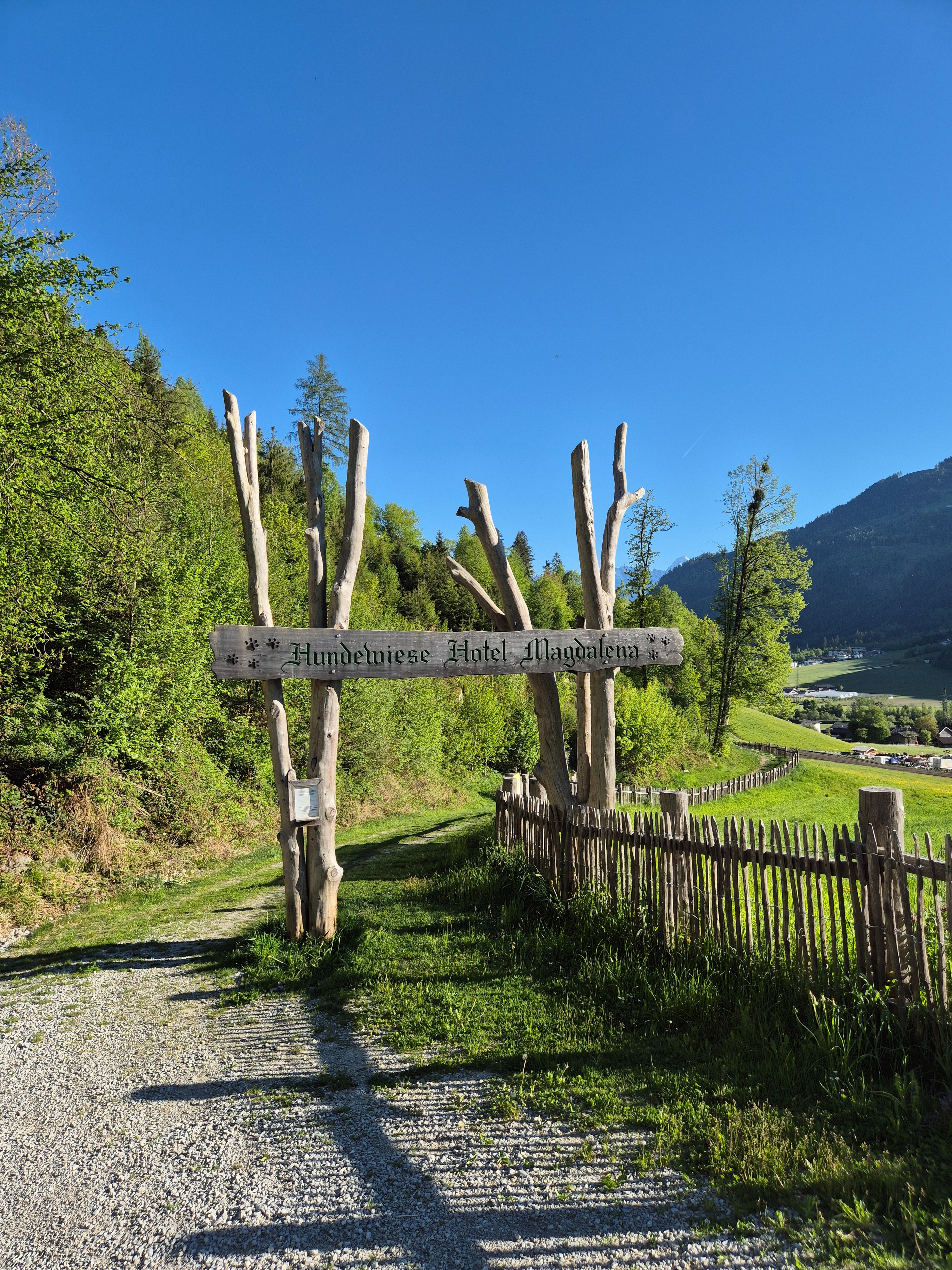 Daily shuttle service to the dog run in Stumm
