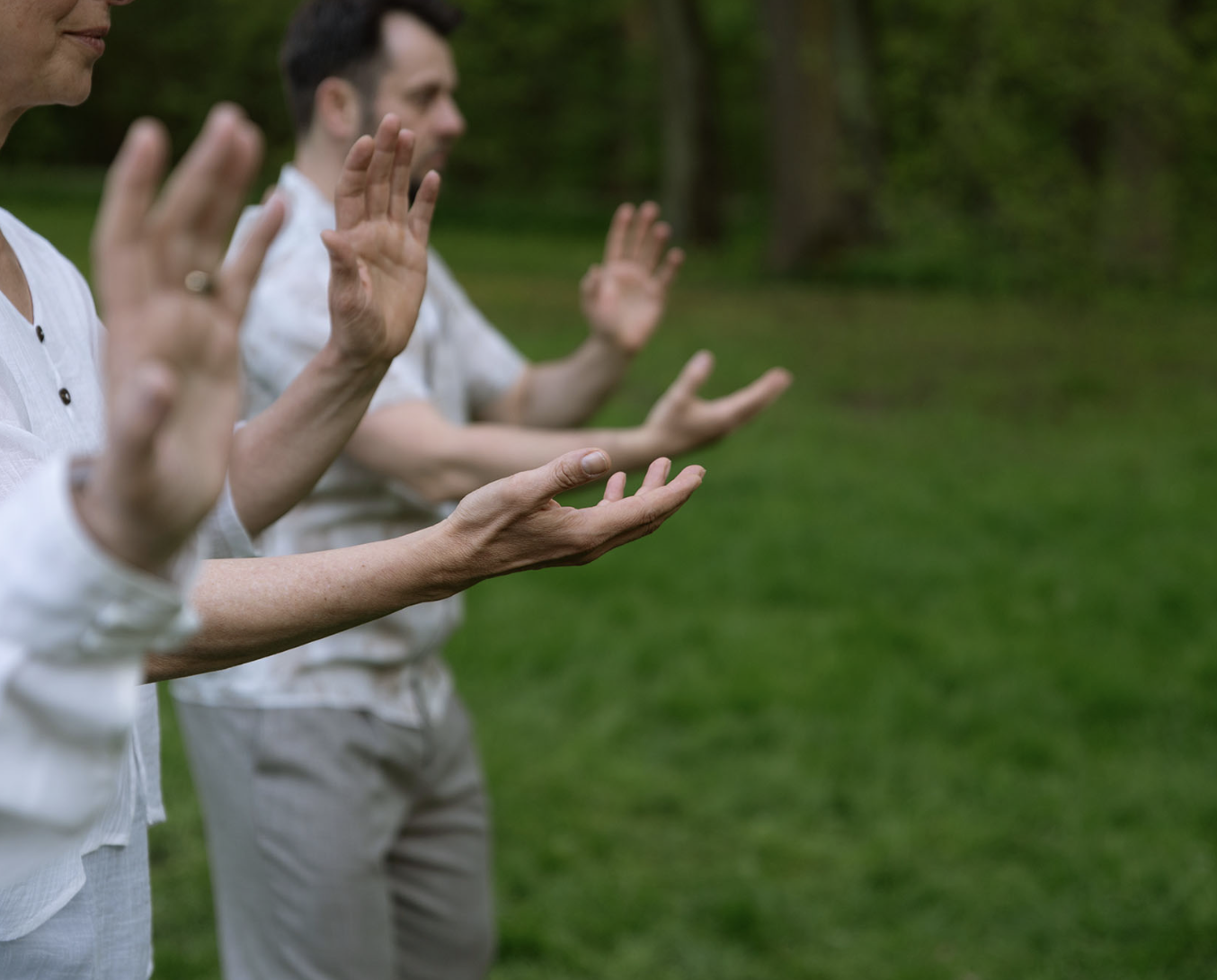 10.11.26 - Informationsveranstaltung - Sächsische Qigong Lehrerausbildung